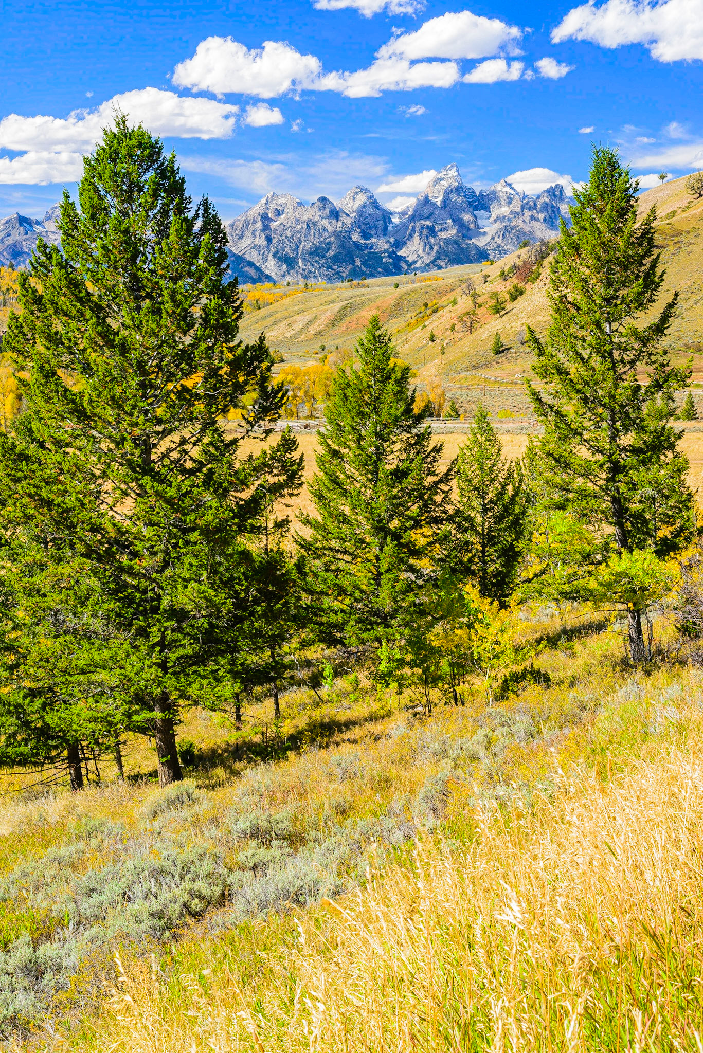 DTGD21192 Looking at the Tetons from Gros Ventre Road