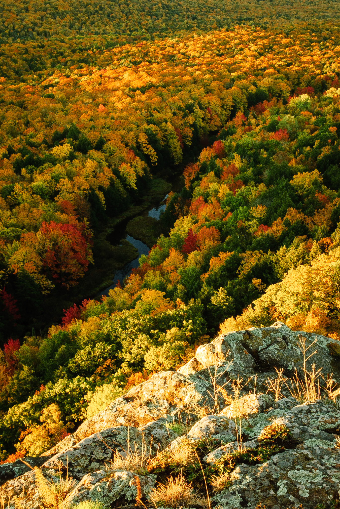 DTGD12646 Porcupine Mountains State Park, MI