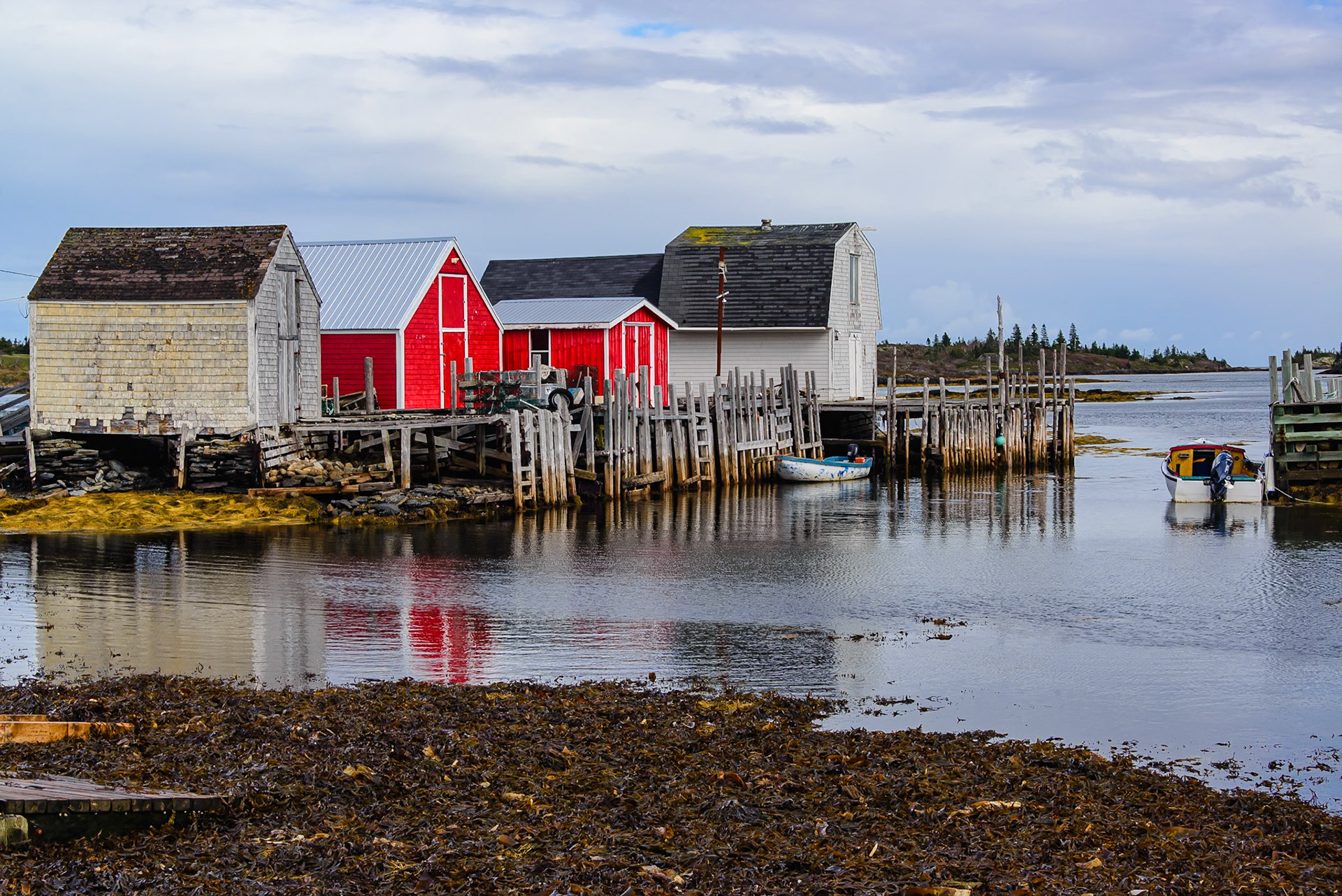 DTGD39227-Blue Rocks fish Sheds