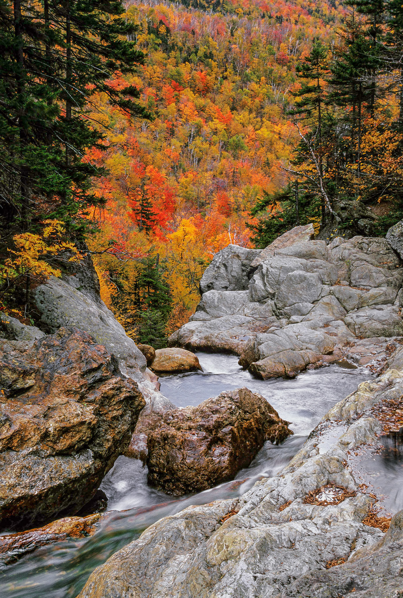 DTG00338 Glen Ellis Falls Autumn