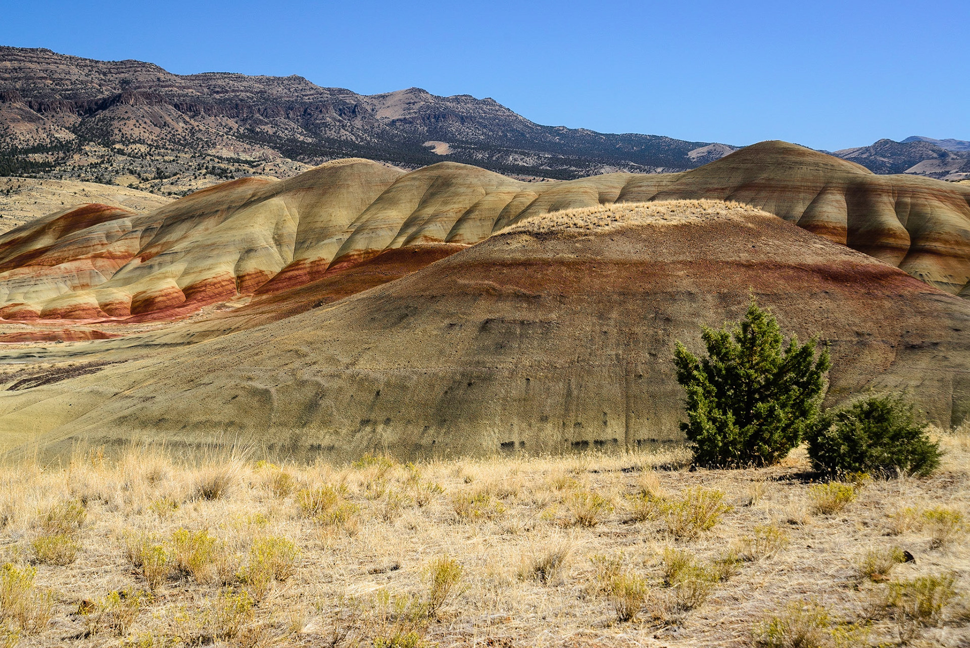 DTGD21294 The Painted Hills, Wheeler County OR.