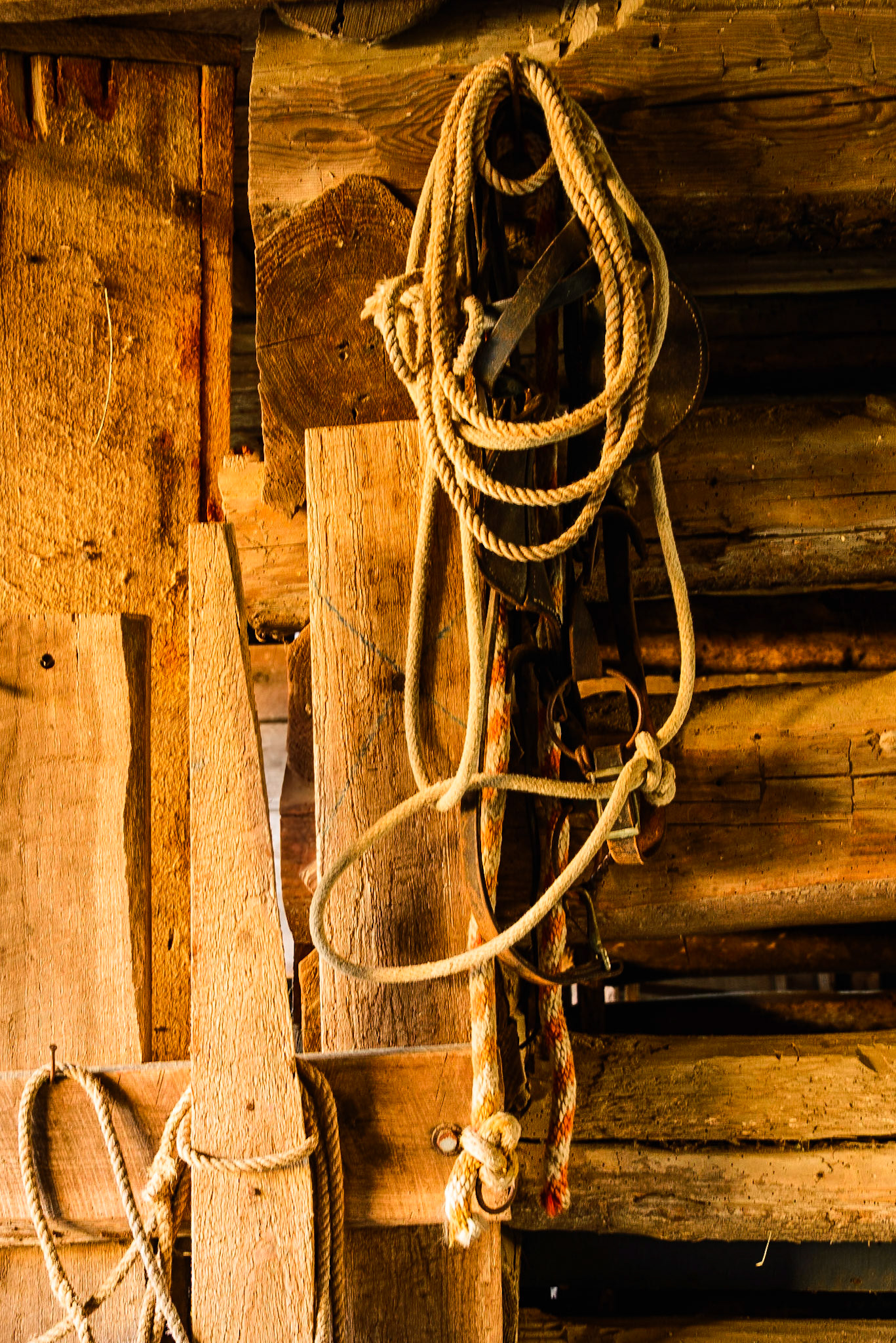 DTGD25508 James Roberts Barns