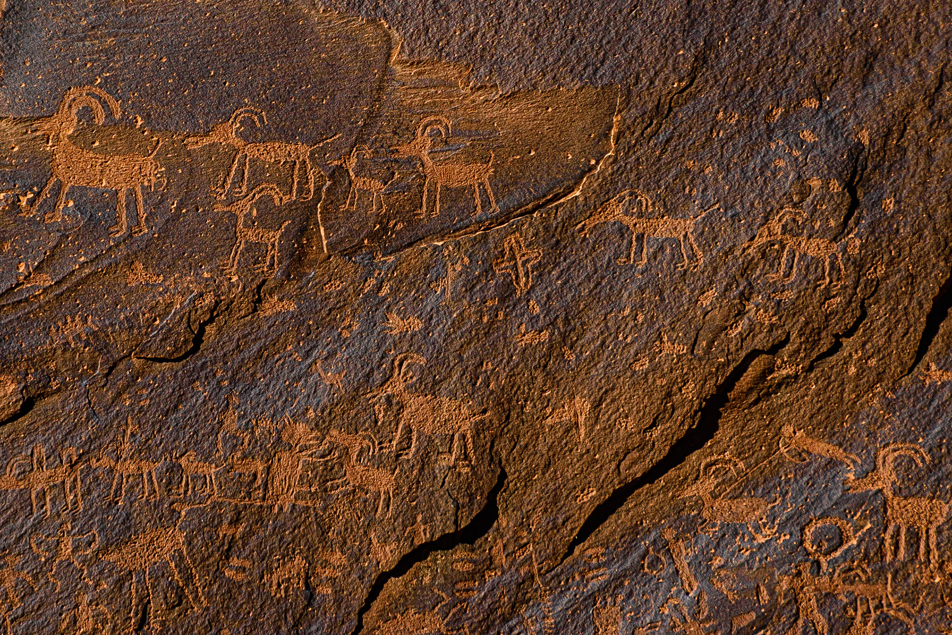 DTGD23036 Petrogliphs