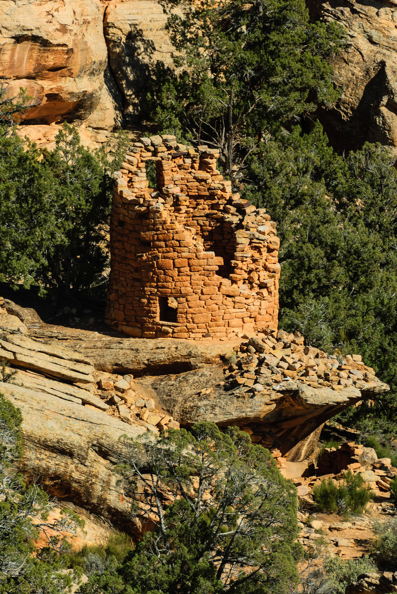 DTGD09277 Painted Hand Pueblo, CO