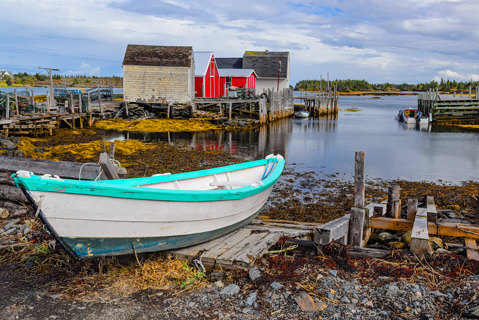 DTGD39231-Blue Rocks Fish Sheds