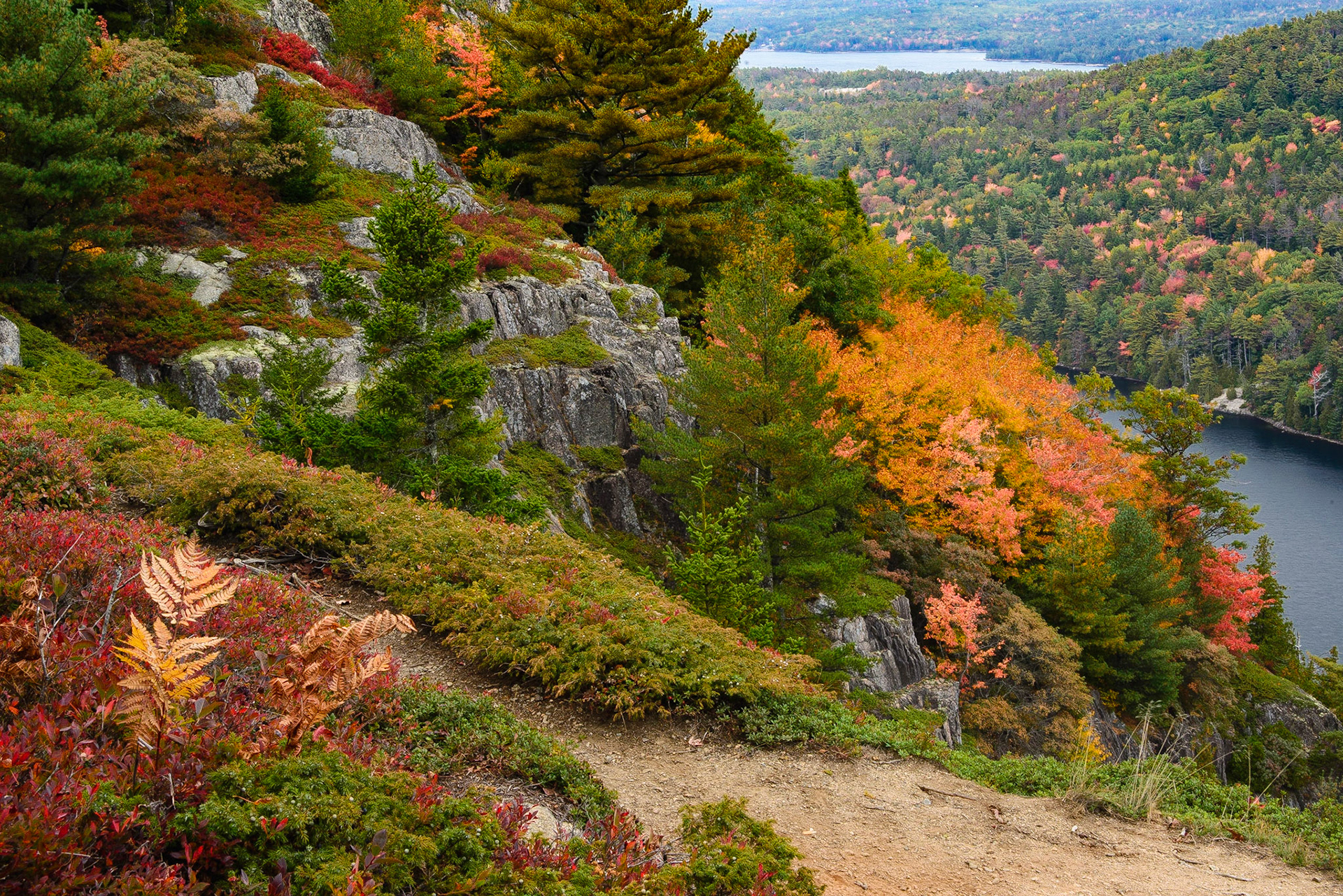 DTGD24902 Beech Mountain, Southwest Harbor, ME
