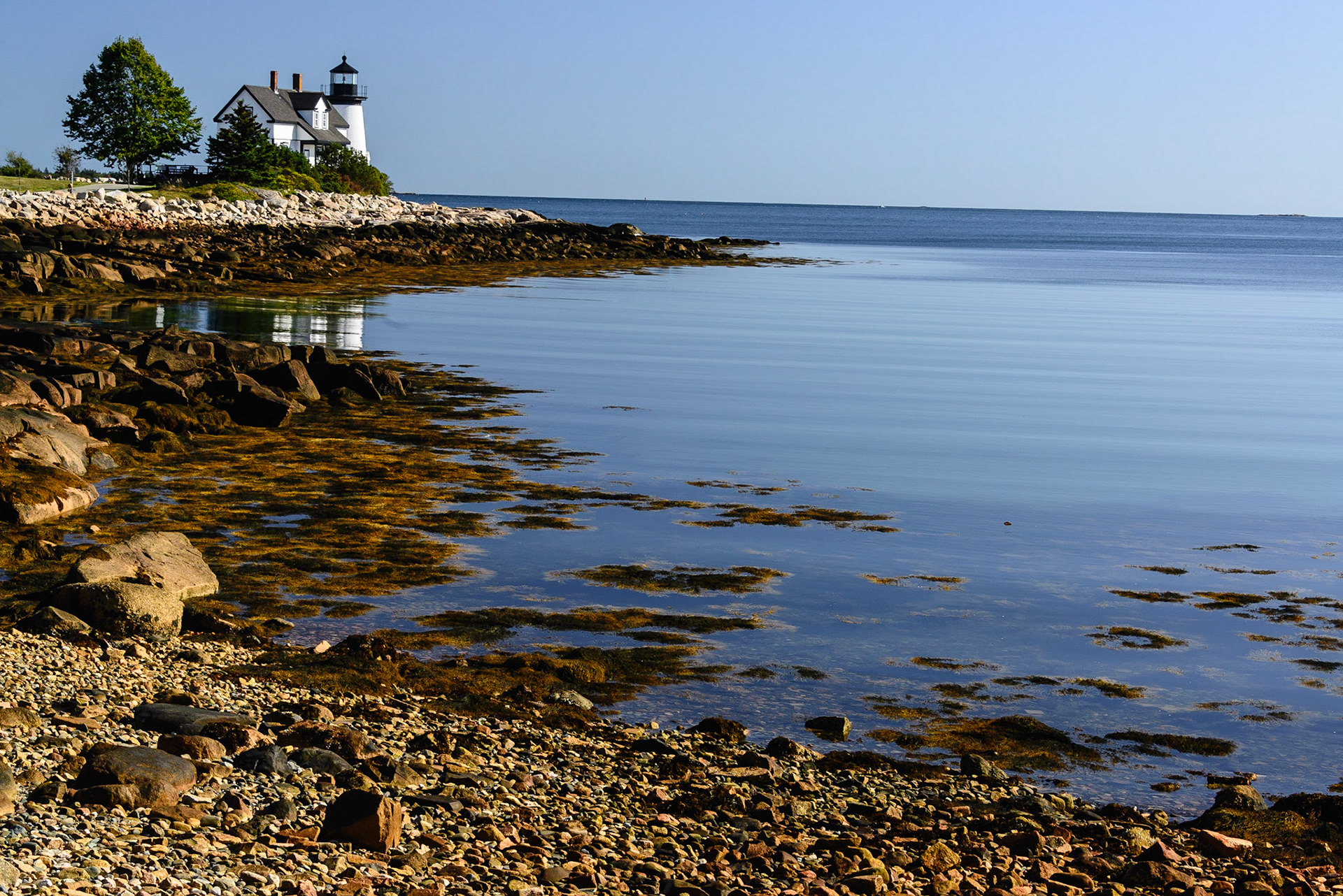 DTGD27047 Prospect Harbor Lighthouse
