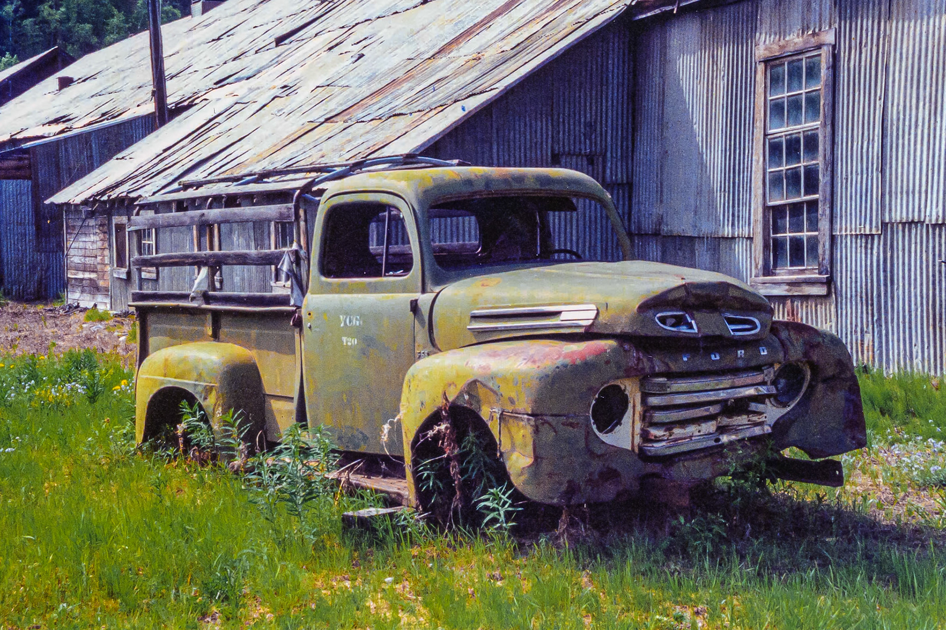 DTGP016-Bear Creek, Yukon Ter.