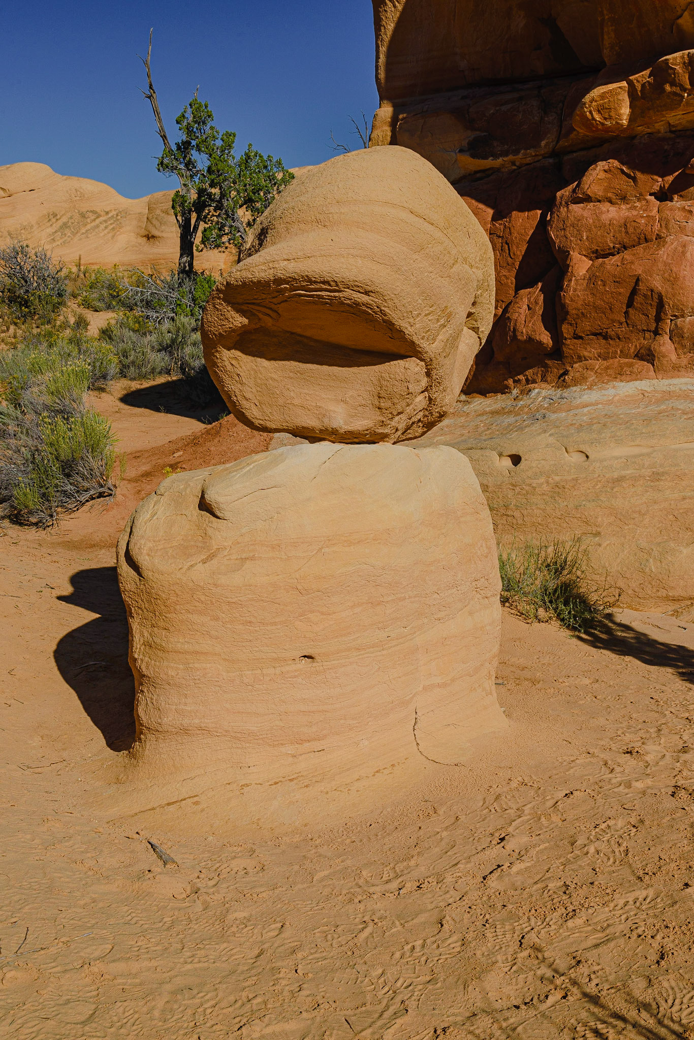 DTGD22026 Devils Garden Hoodoos
