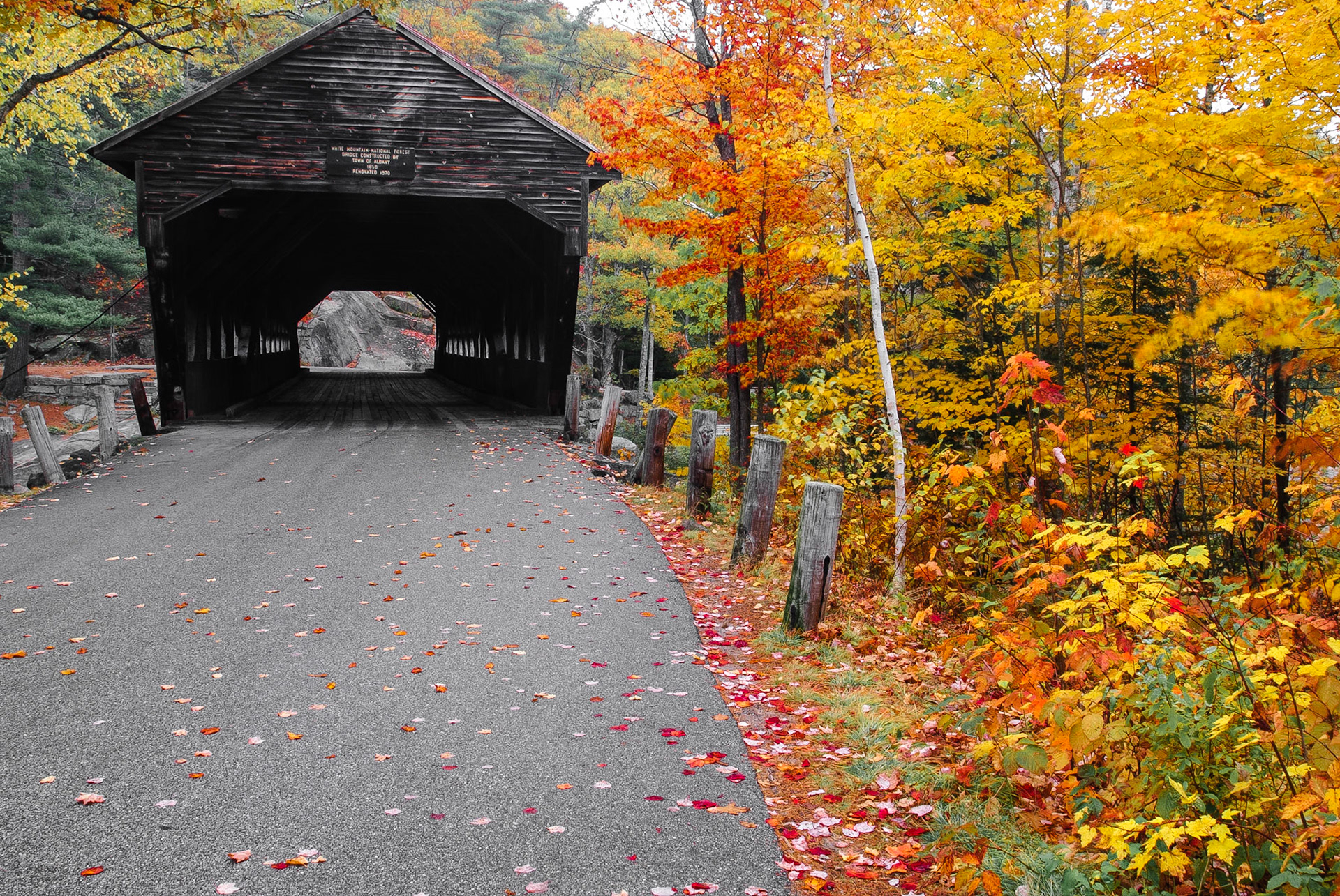 DTGD00806 Albany Covered Bridge
