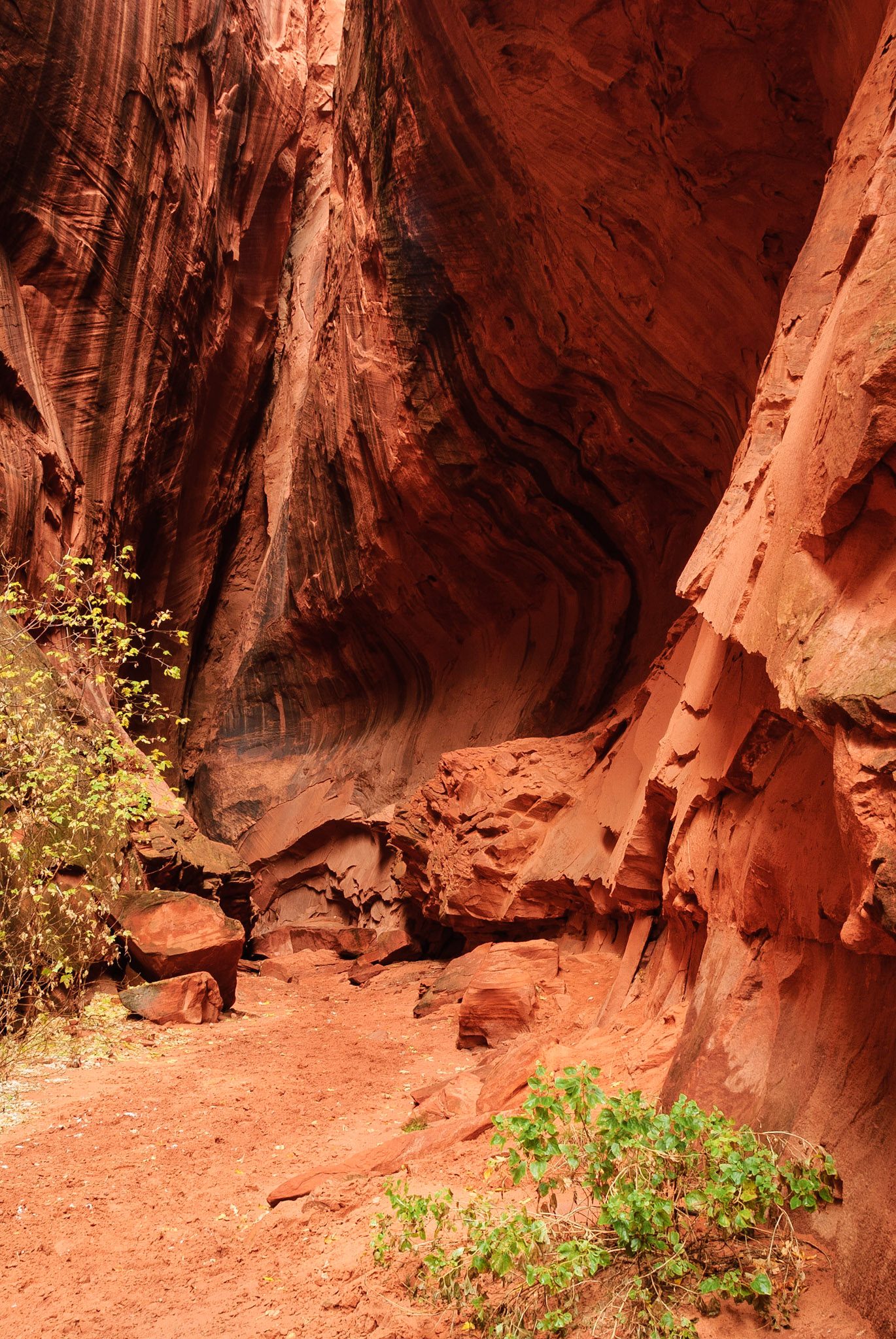 DTGD10494 Slot Canyon, Burr Trail Road, UT