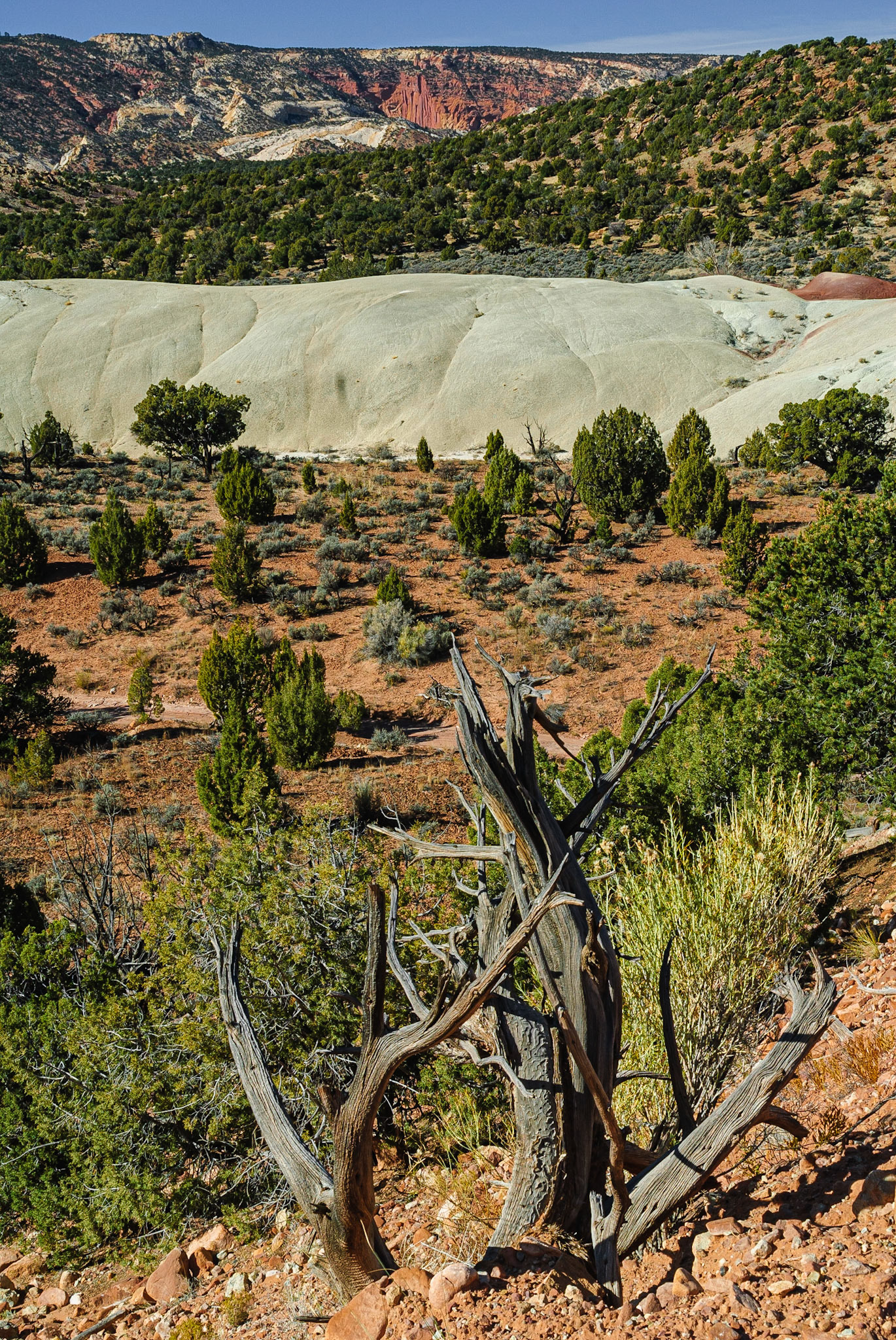 DTGD10020 Notom Road, Capital Reef Nat'l Park