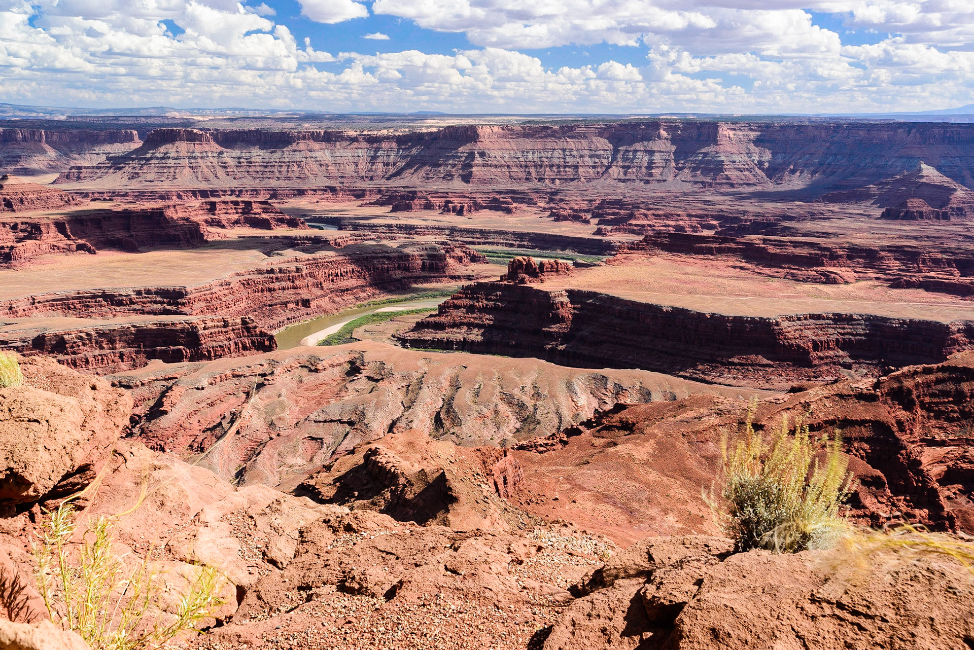 DTGD21761 The Colorado River from Dead Horse Point.
