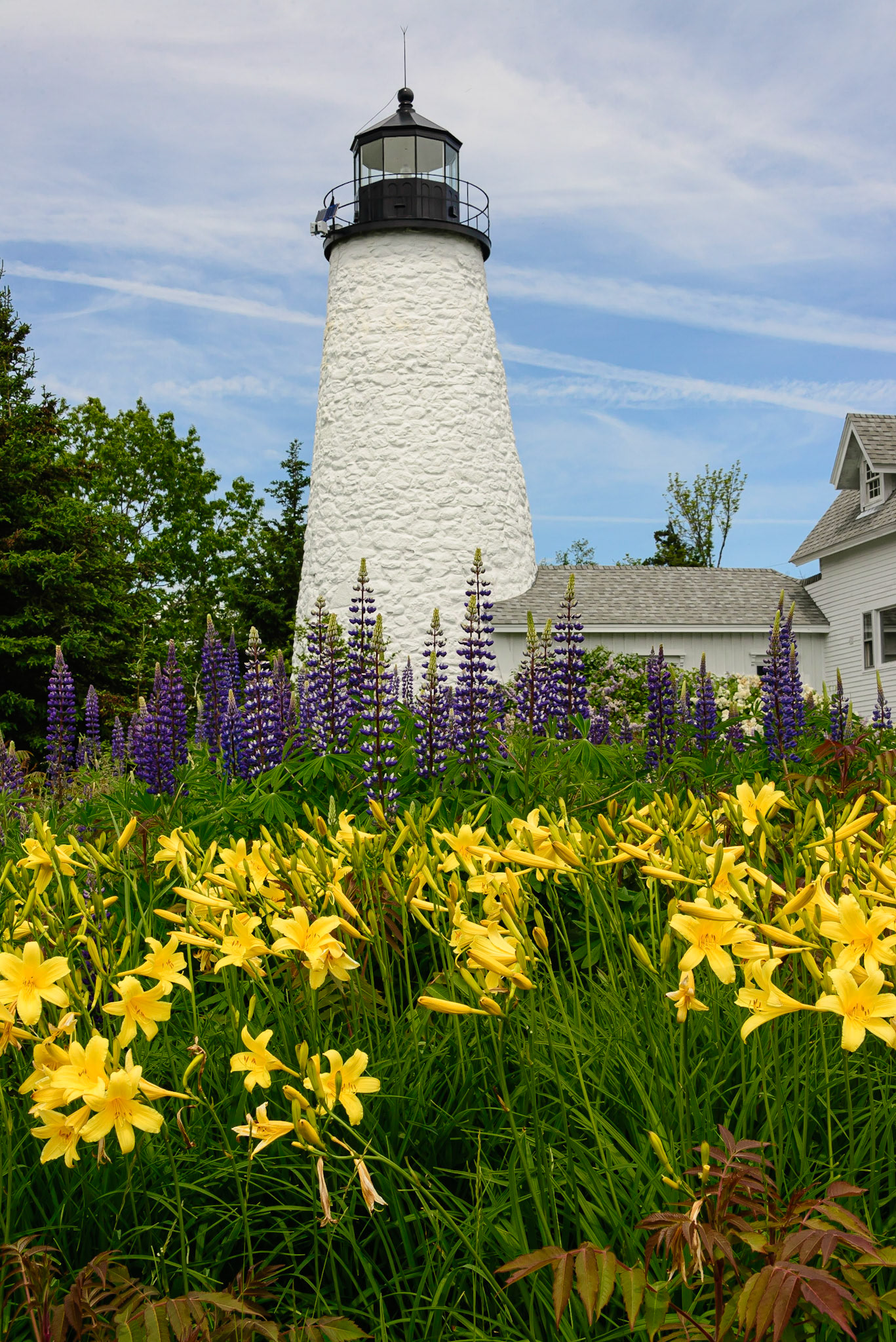 DTGD31016 1828 Dyce Head Light, Castine, Maine