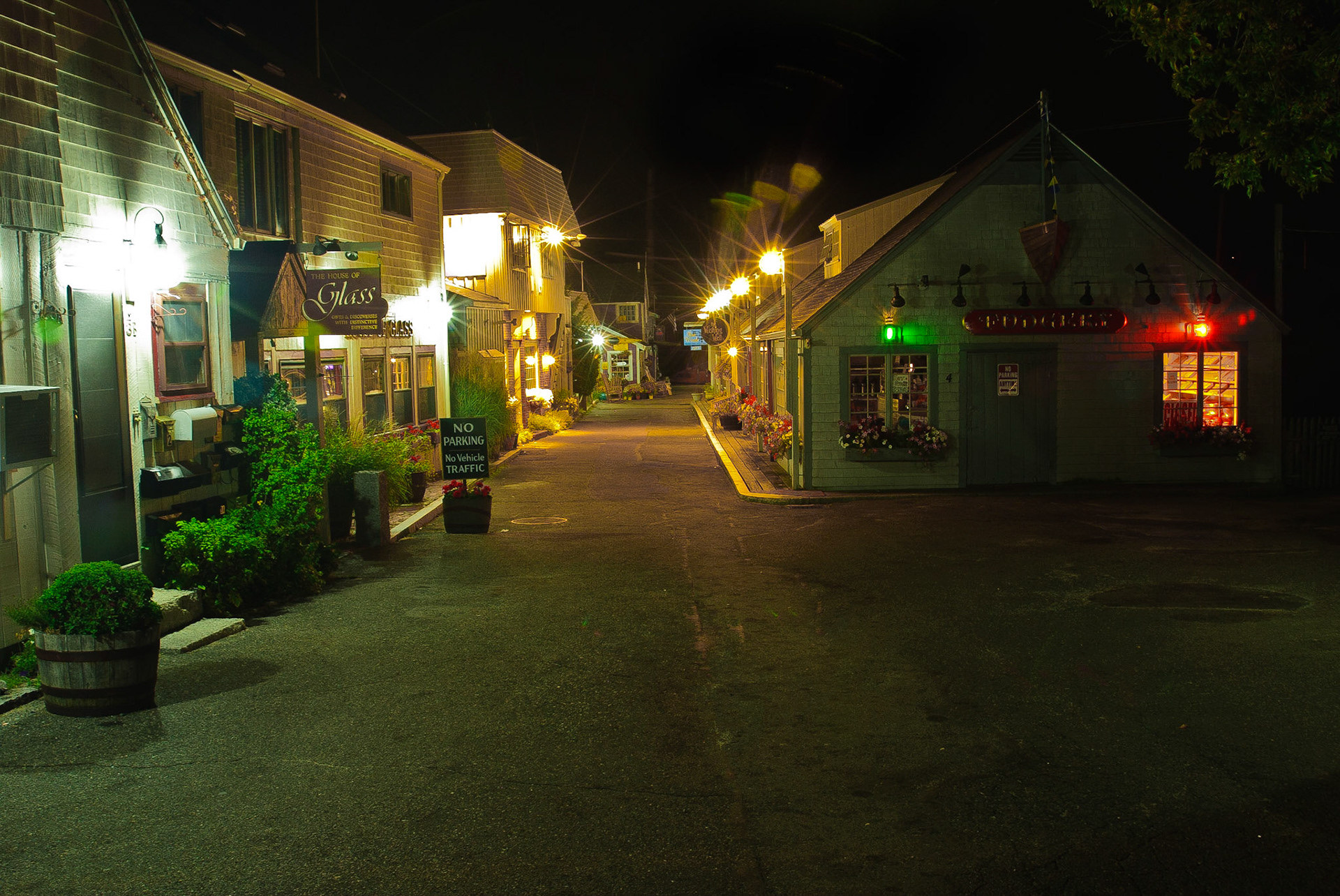 Bear Skin Neck @ Night
