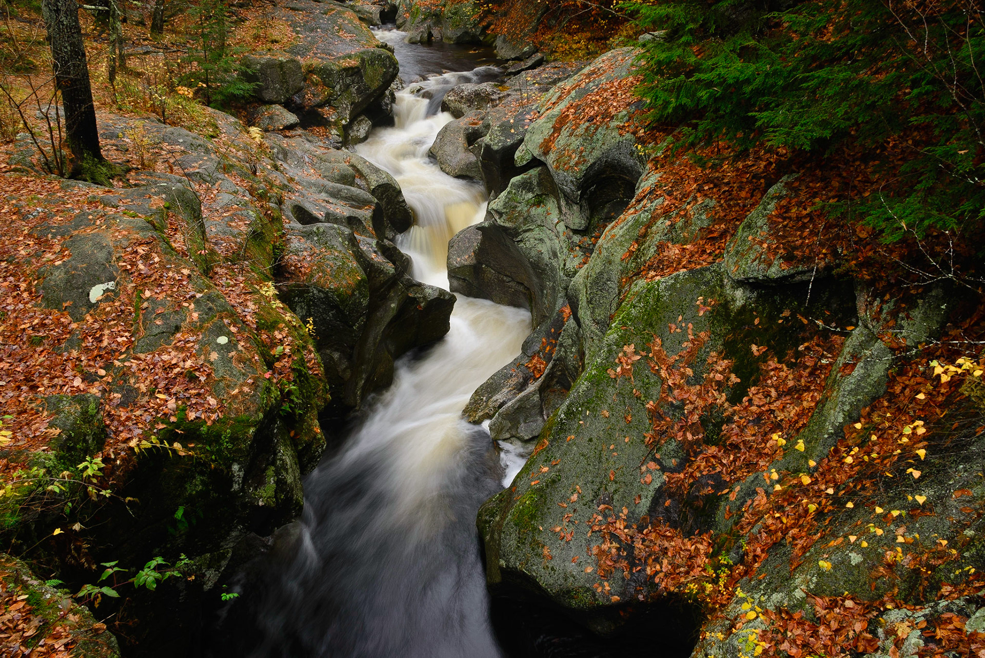 DTGD27219 Sculptured Rocks
