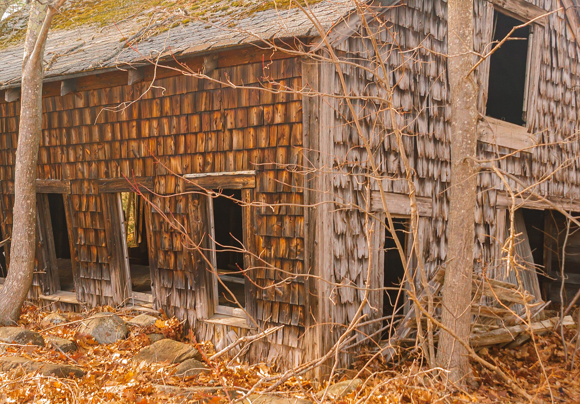 DTGD34257 Old Garage