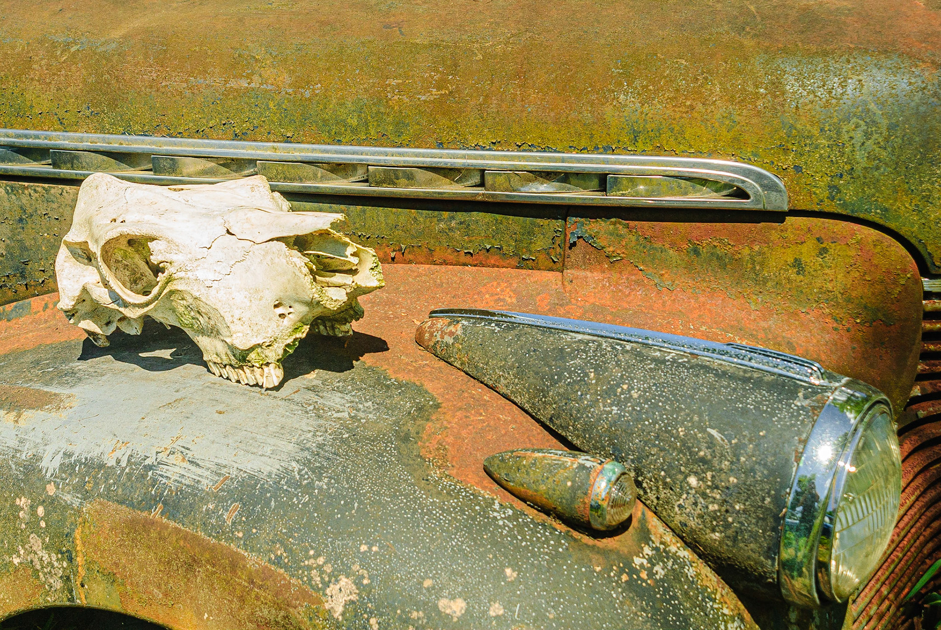 DTGD12021-Old Chevrolet