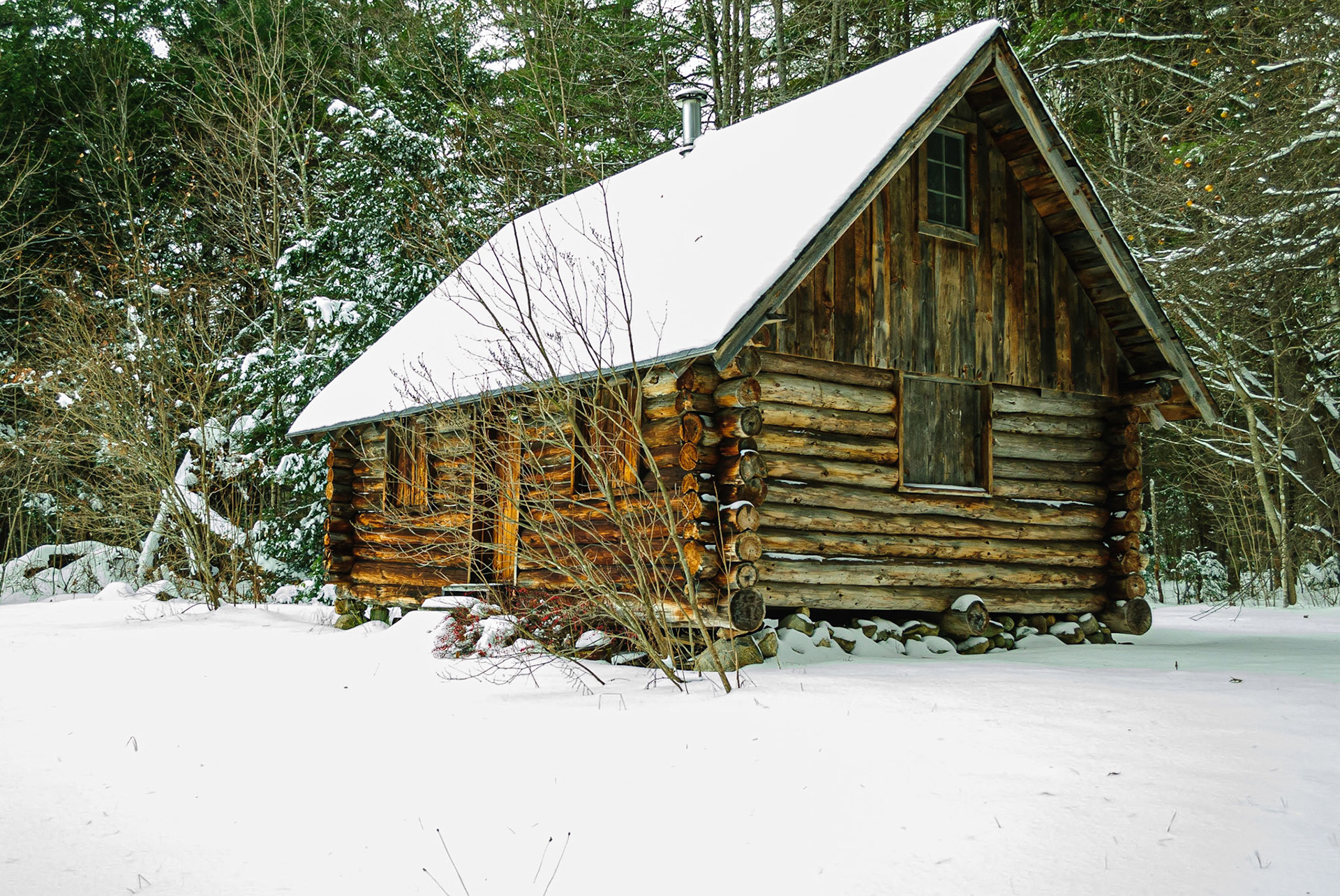 DTGD04239 Old Log Cabin