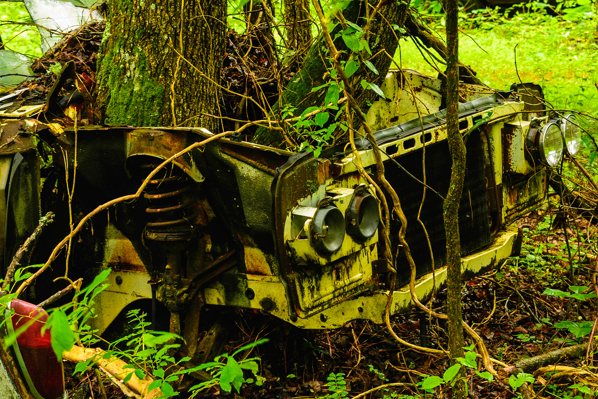 DTGD26142-Its been here a long time