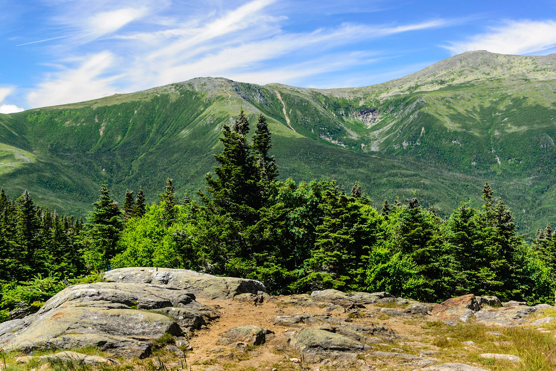 DTGD26796 Looking at Mt. Washington from Wildcat