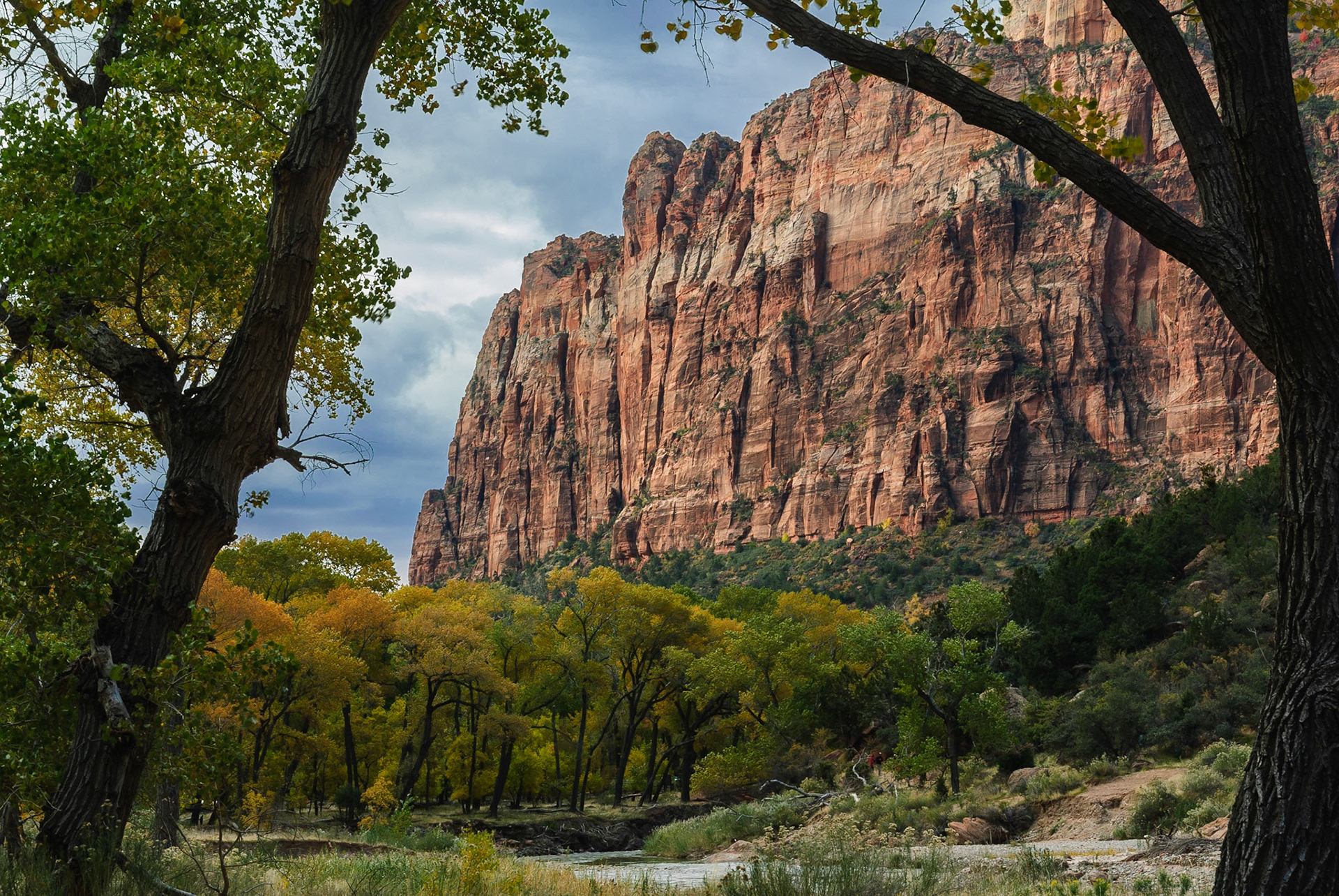 DTGD11088 Zion National Park