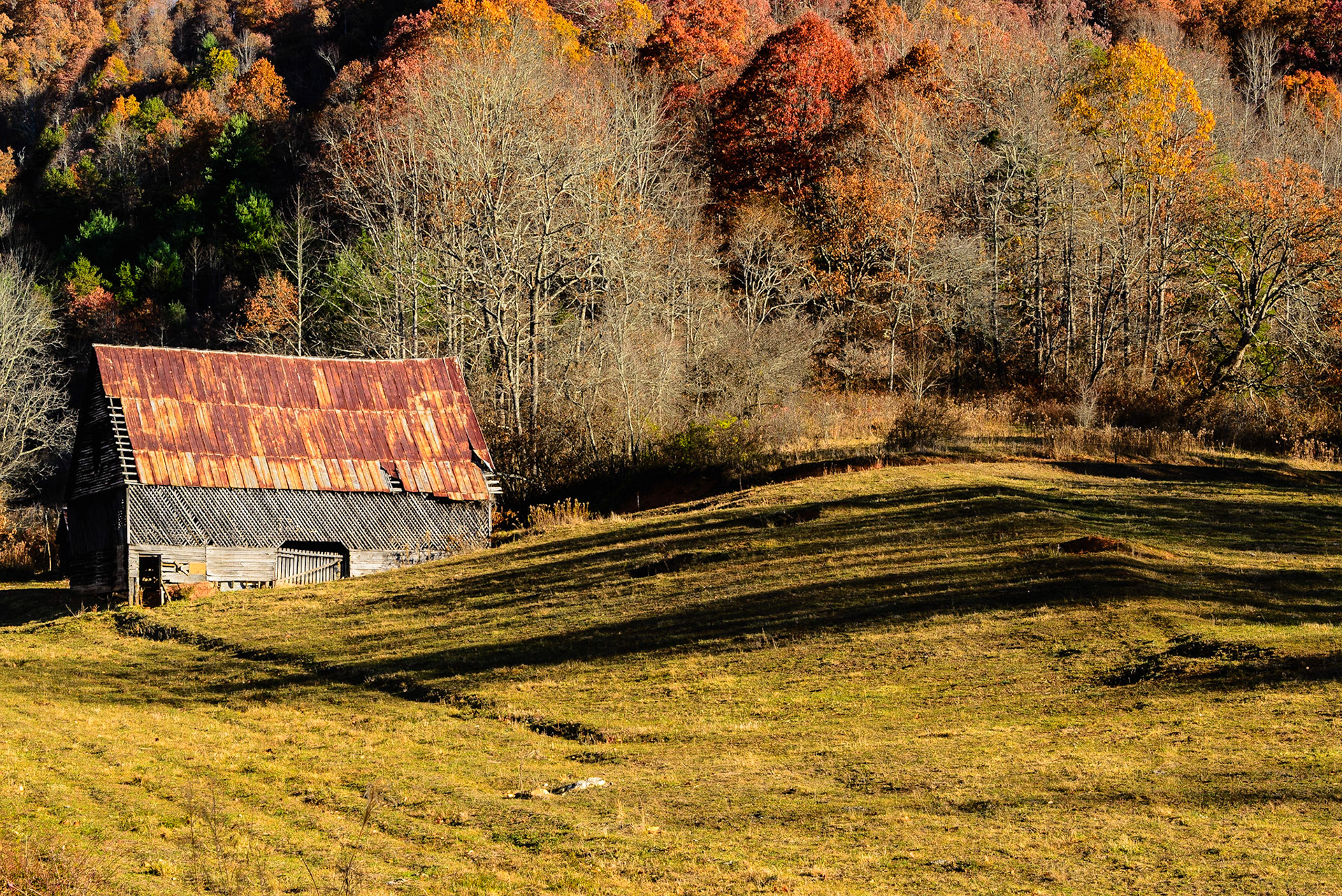DTGD25407 Big John Metcalf Barn