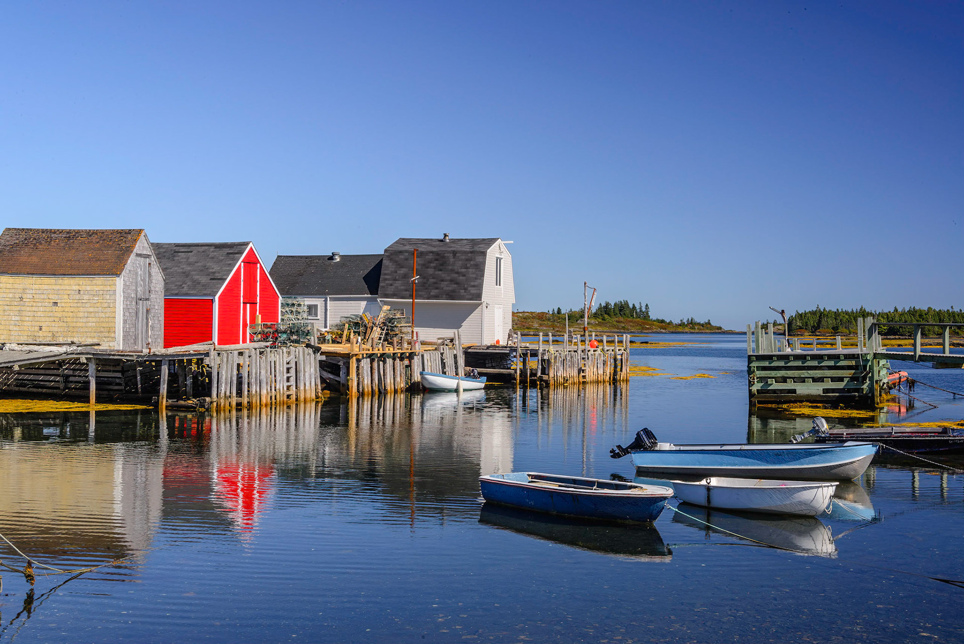 DTGD24824-Blue Rocks, NS