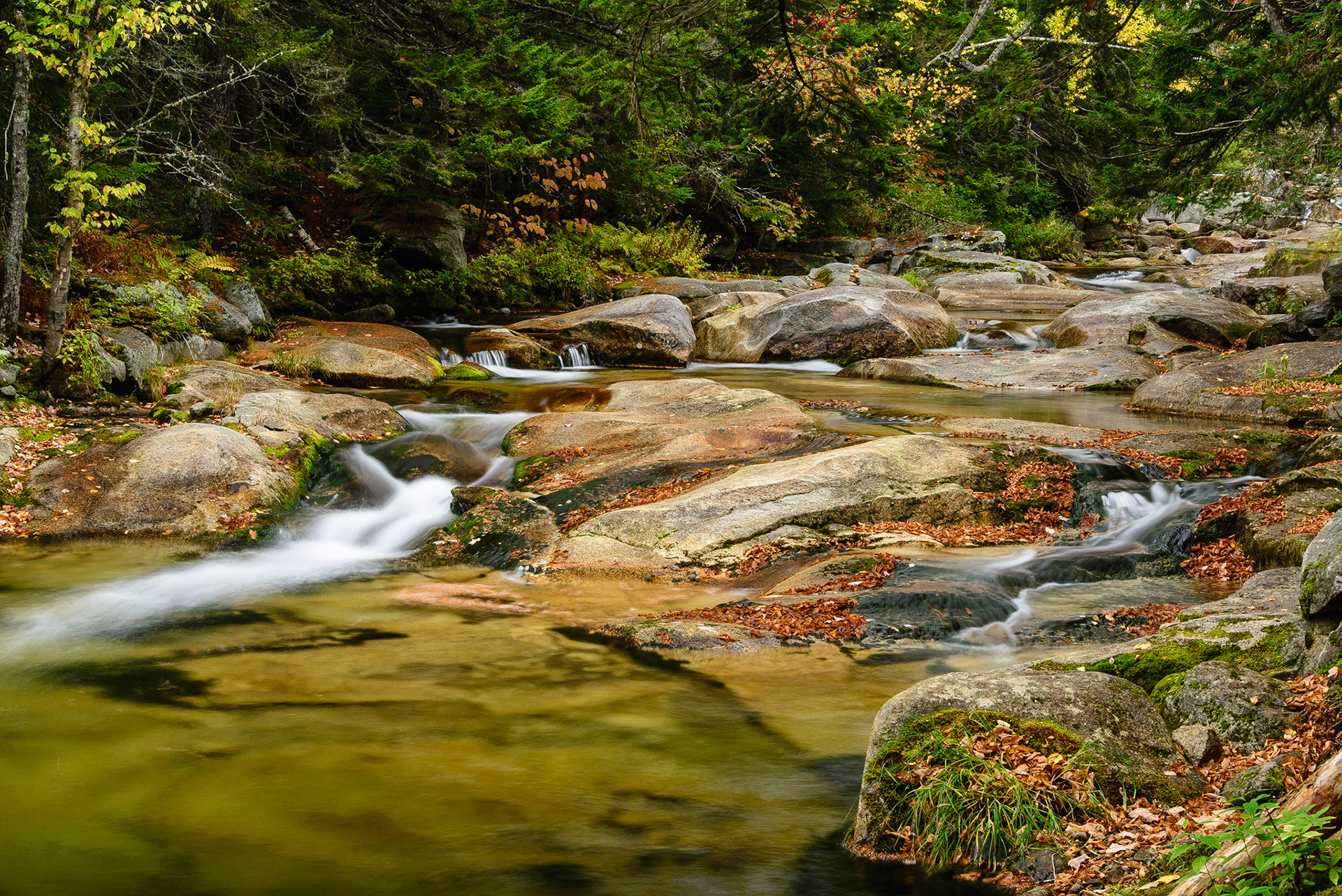 DTGD26954 Ammonoosuc River