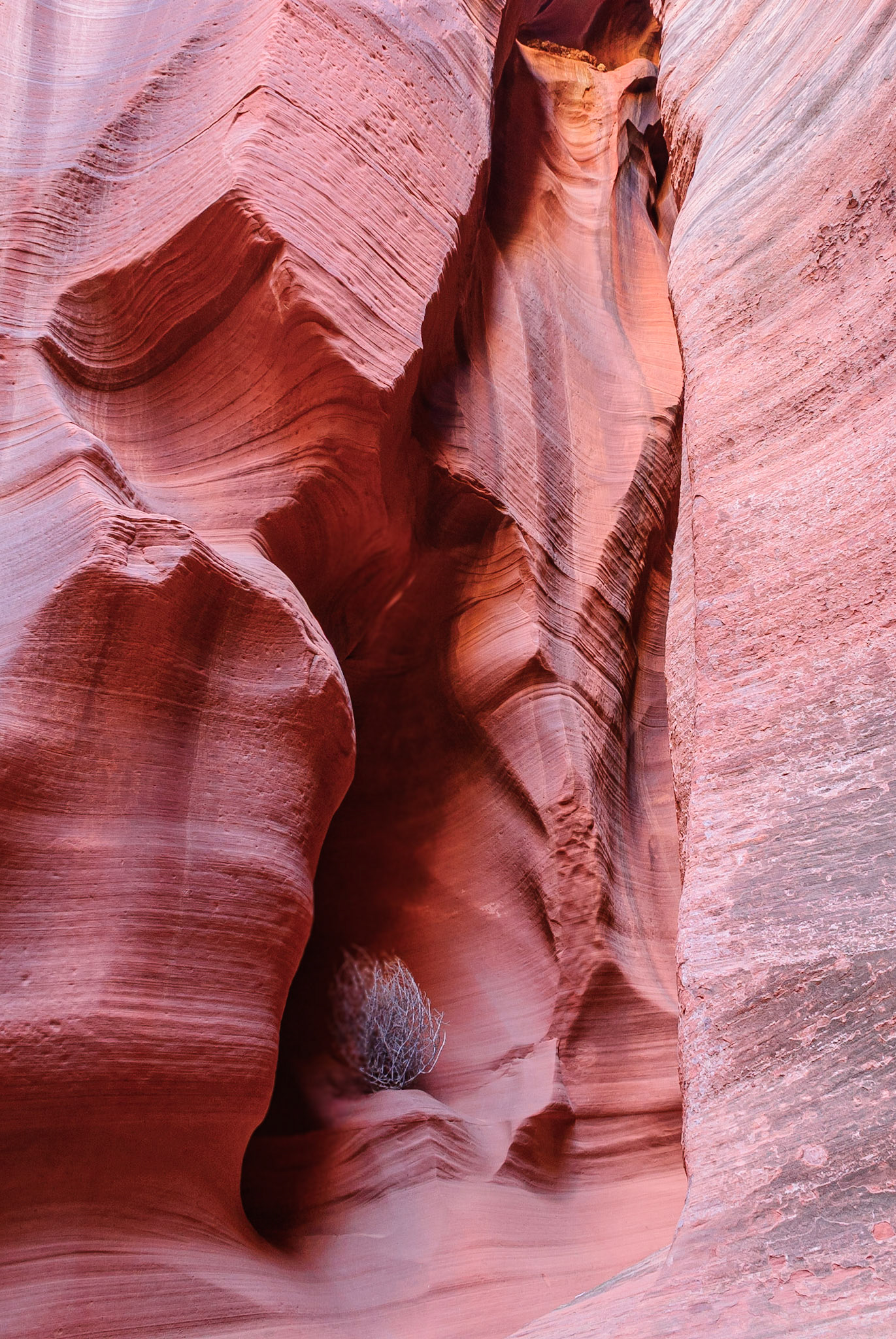 DTGD11623 Canyon X, Page, AZ