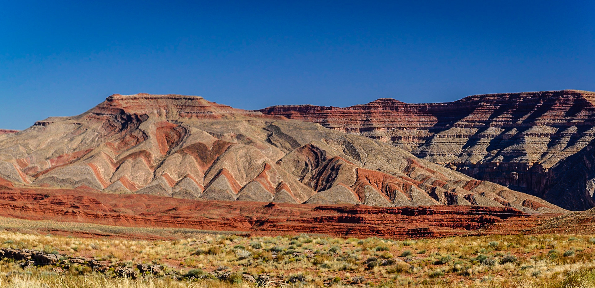 DTGD23016 Color of the Southwest