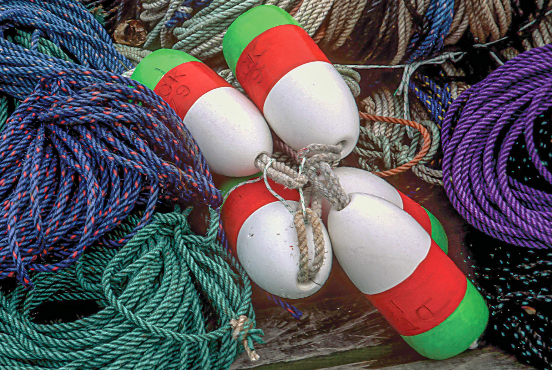 DTG00078 Lobster Men's Ropes 1