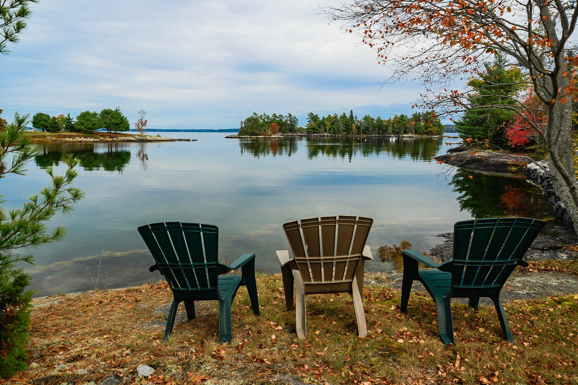 DTGD18816 Conary Cove, Blue Hill, ME