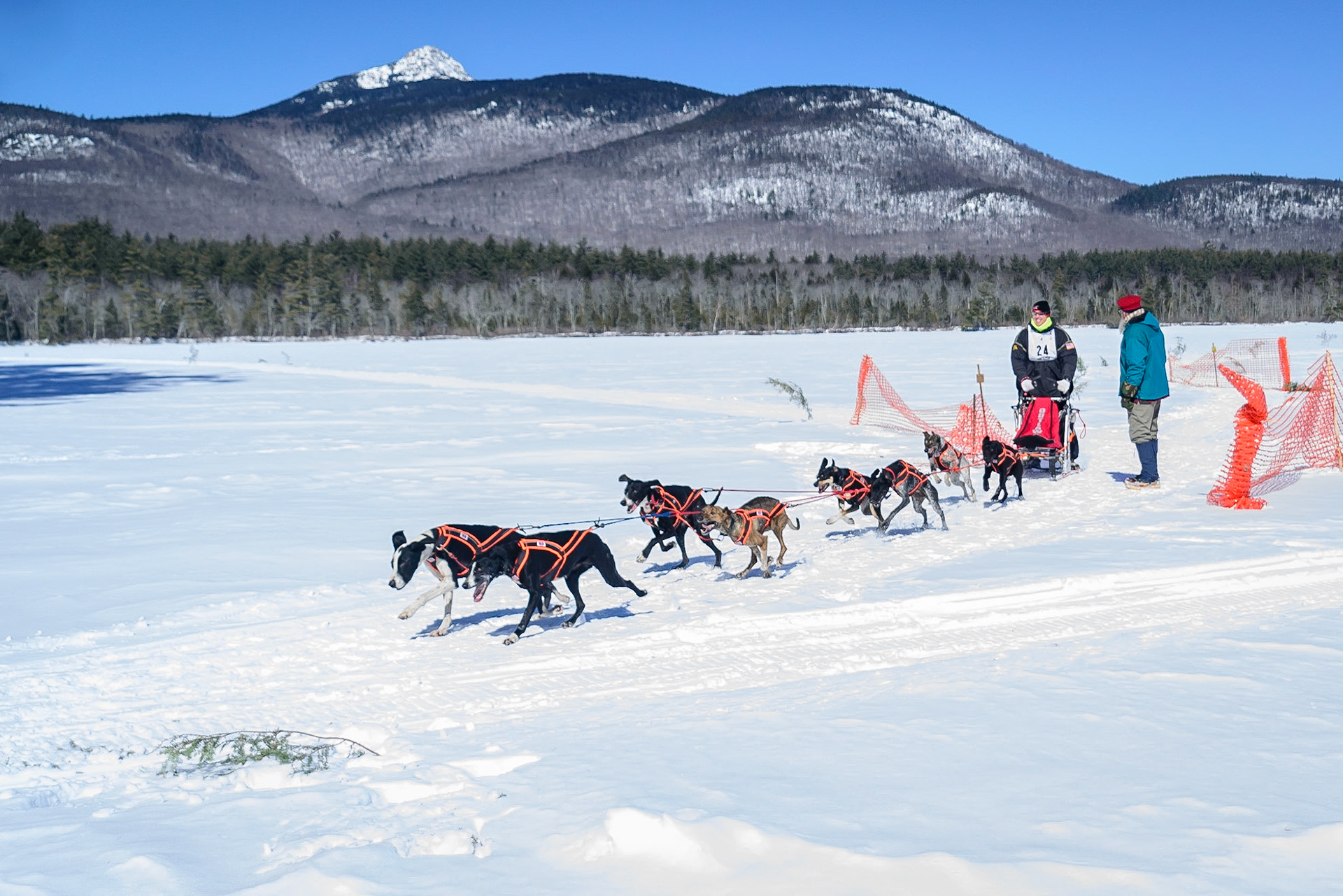 DTGD19288 2015 Sled Dog Races