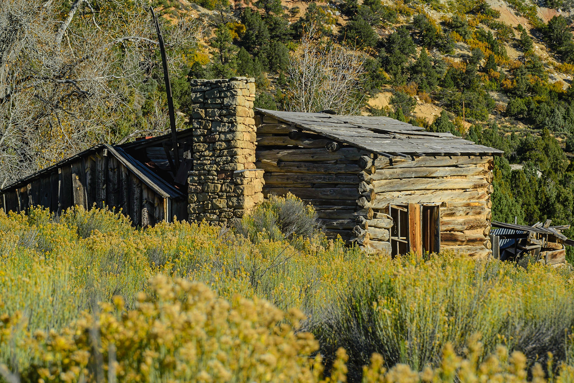 DTGD22269 Old cabin on UT route 12