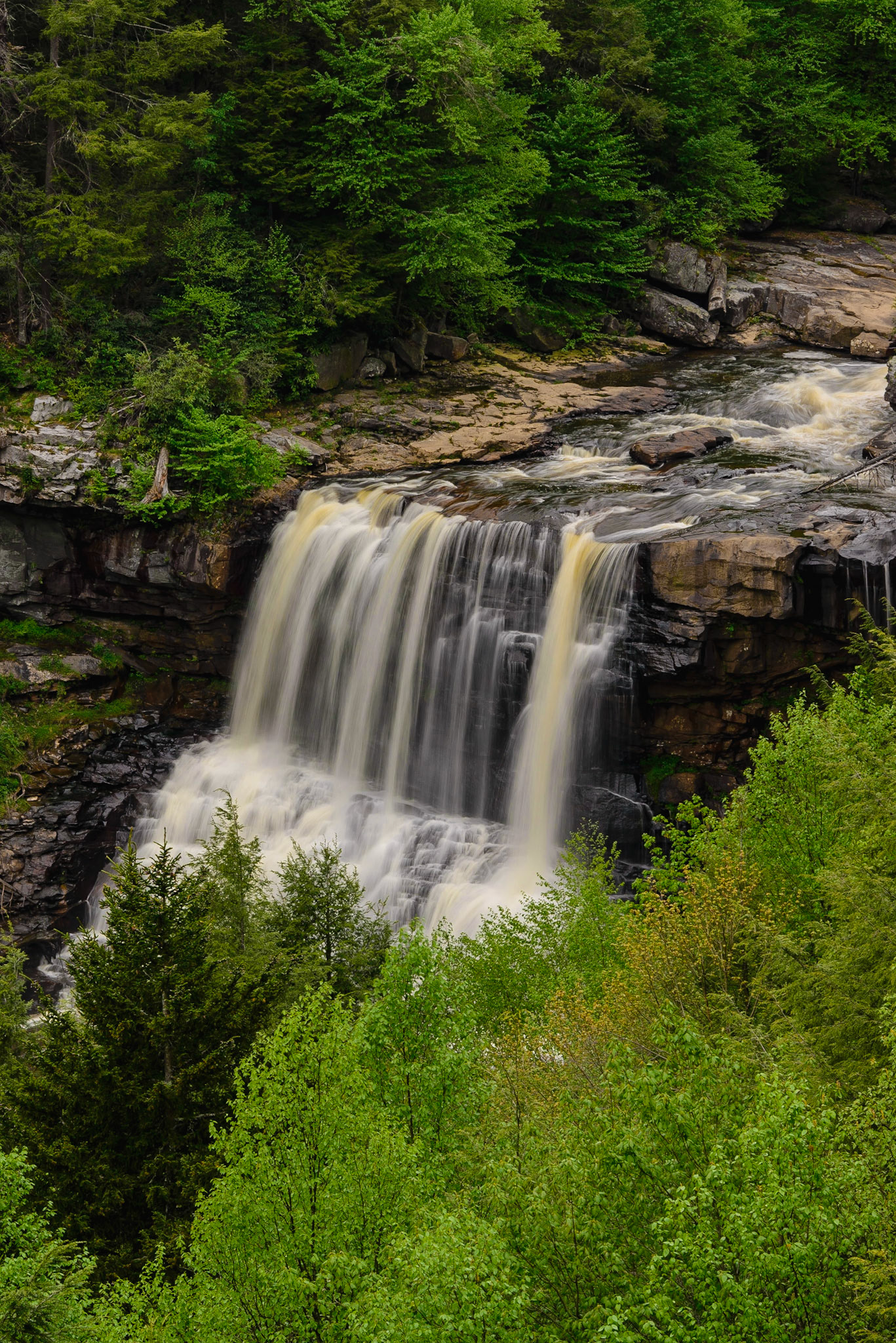DTGD26082 Blackwater Falls