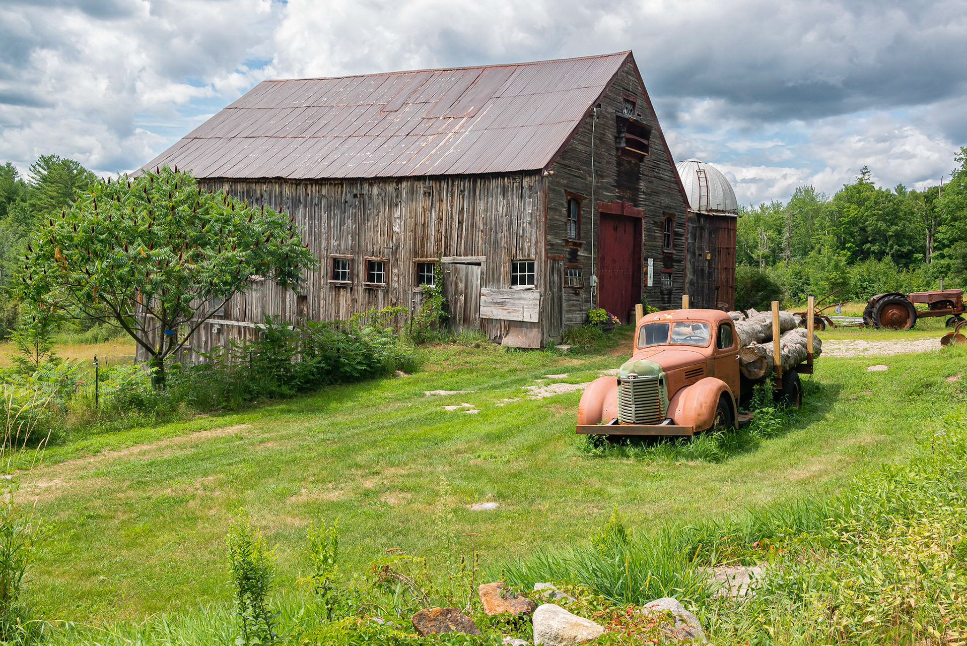 DTGD36327 Dearborn Tree Farm