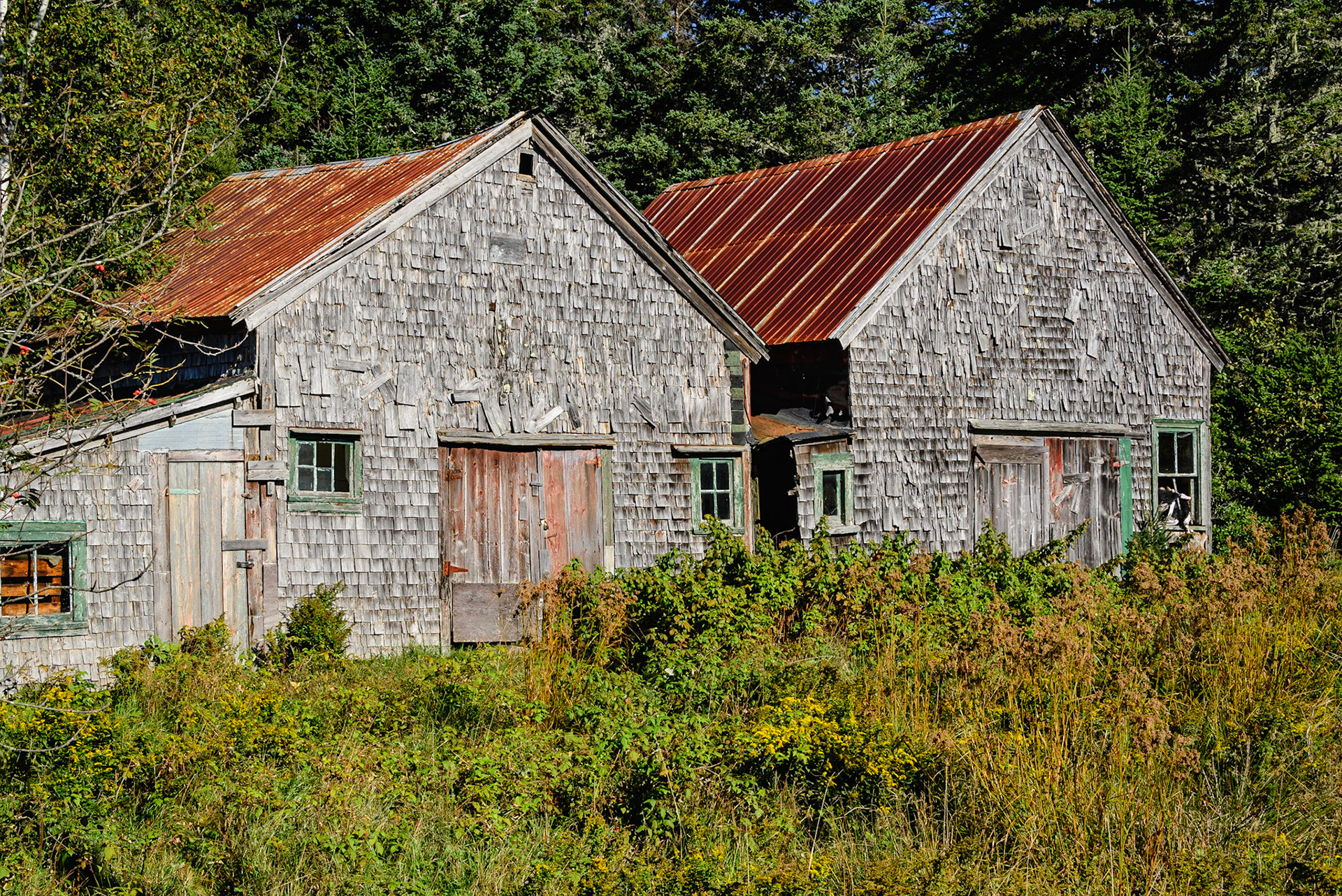 DTGD24789-Old Barns