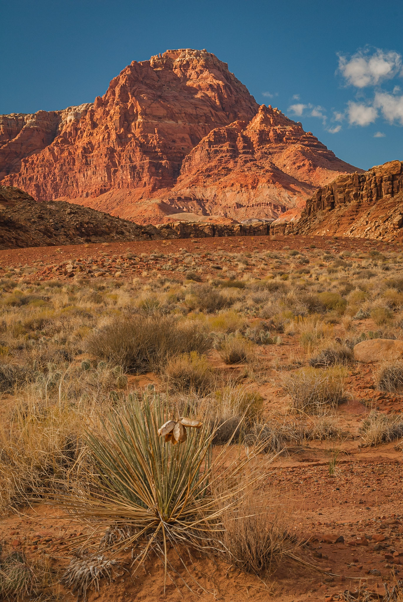 DTGD11399 Red Rocks, Lees Ferry