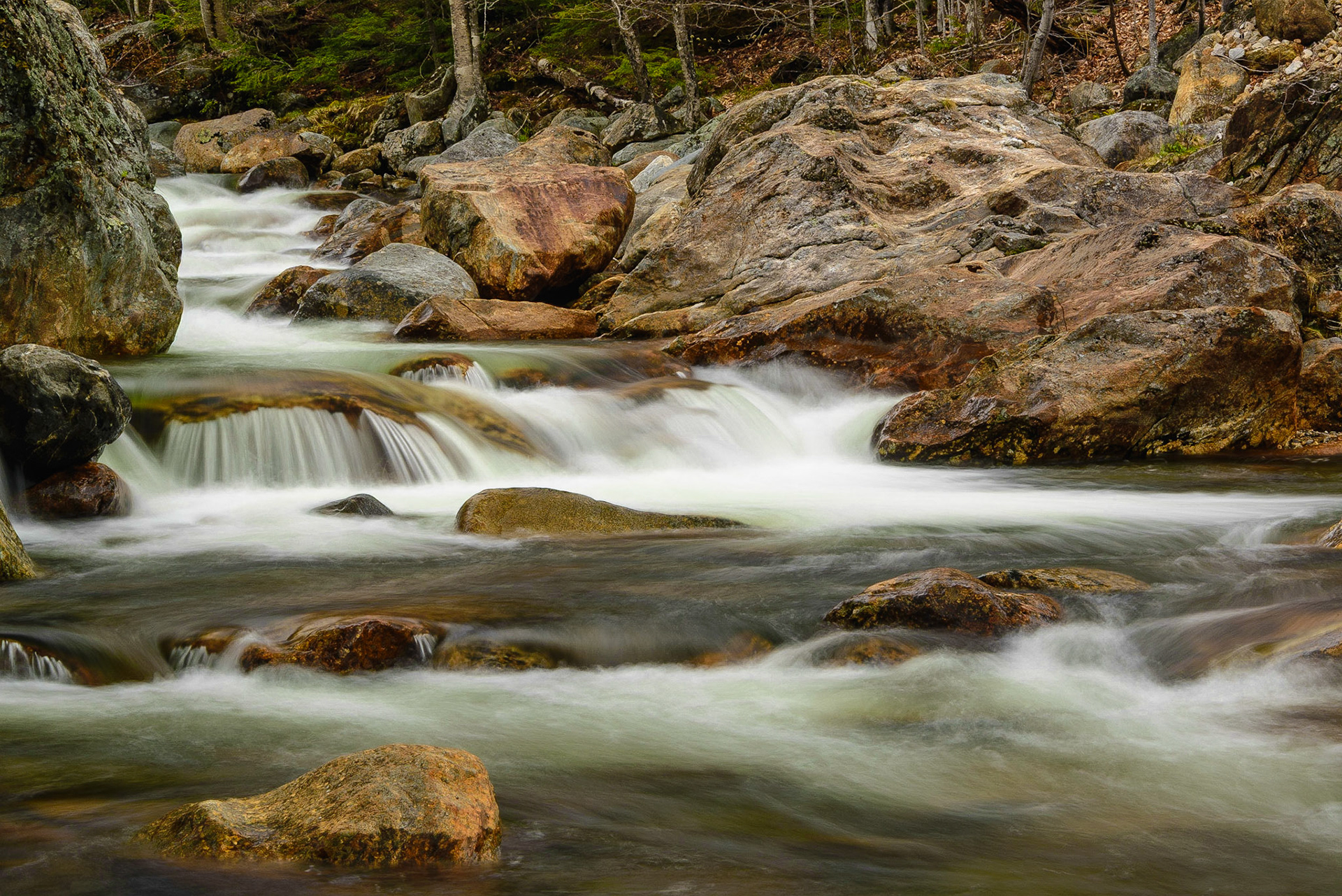 DTGD23997 Ellis River, spring