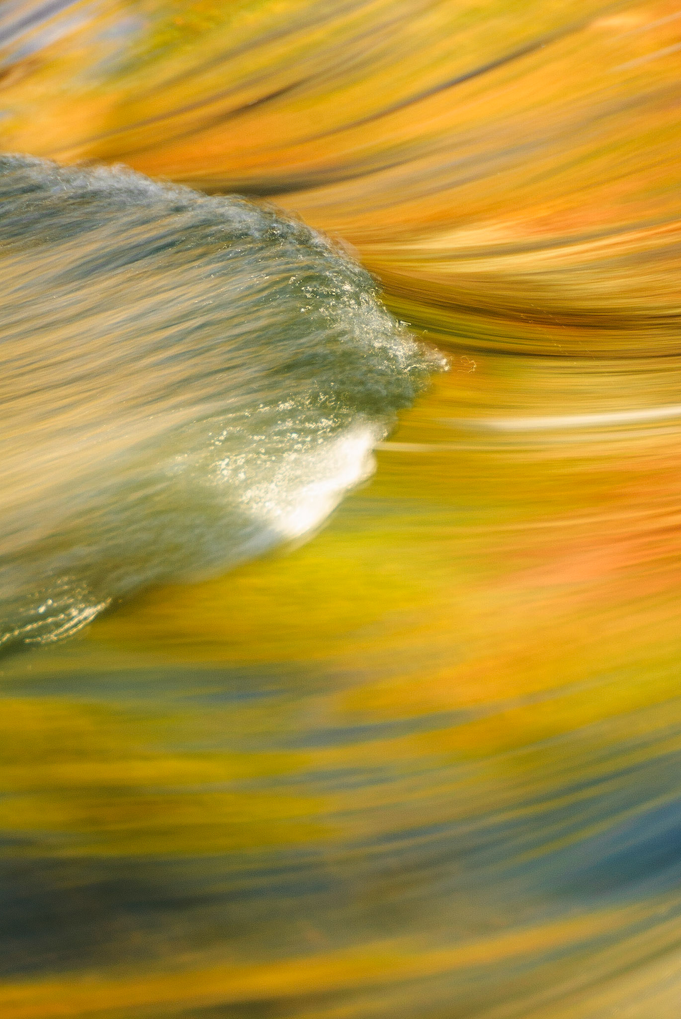 DTGD12734 Bond Falls, Reflections