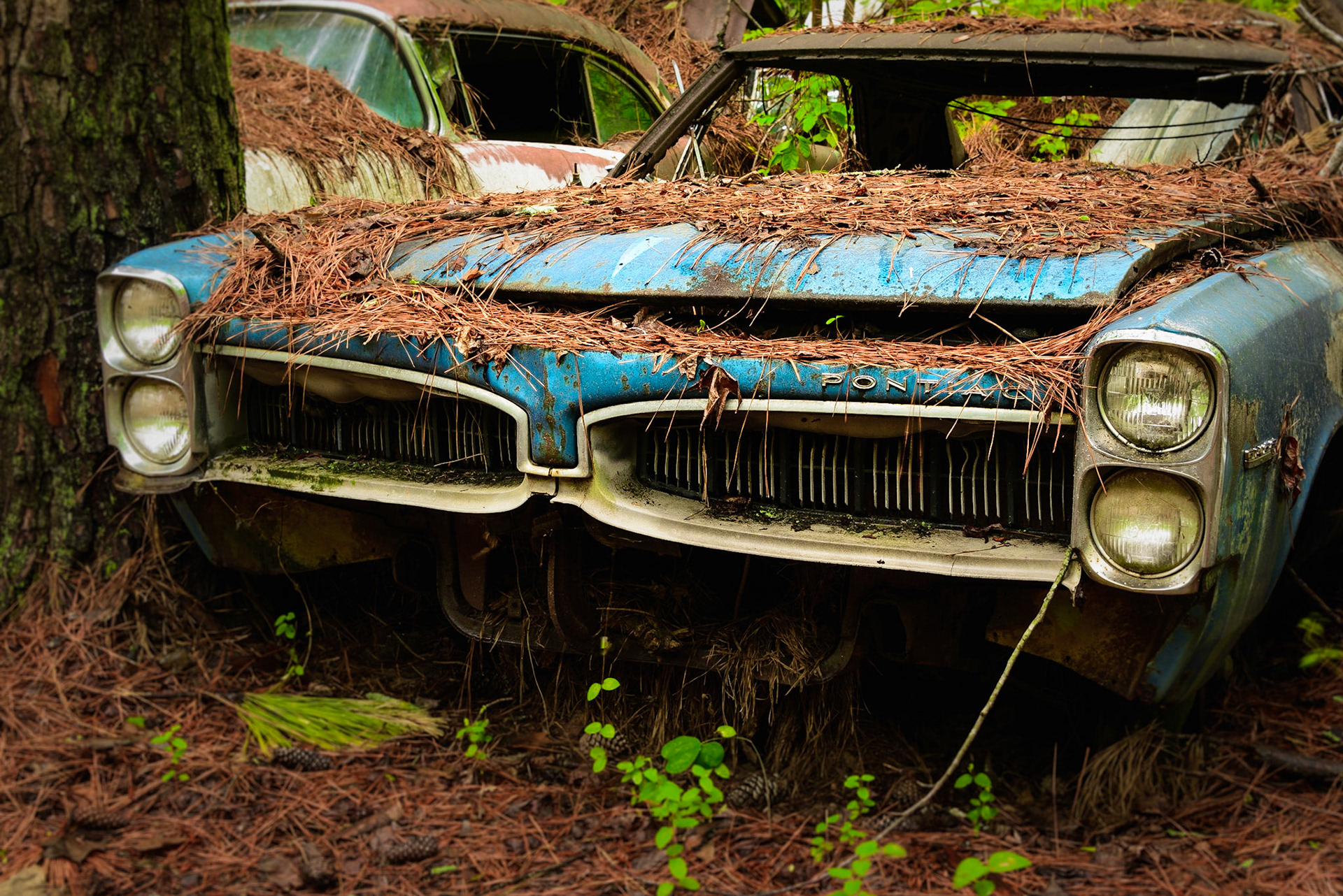 DTGD26182-Old '67 Pontiac LeMans