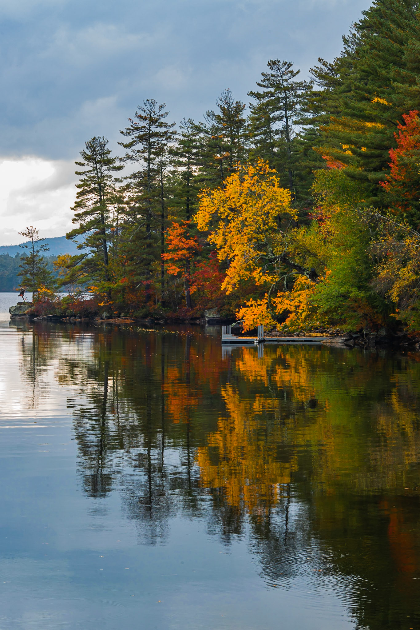 DTGD34933 Squam Lake Reflections