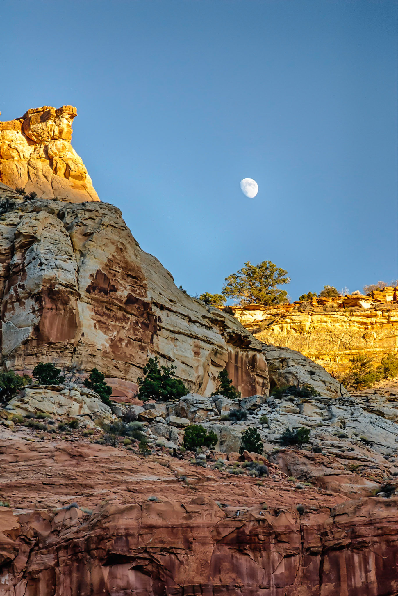 DTGD10330 Moon Rise @ Calf Creek, UT