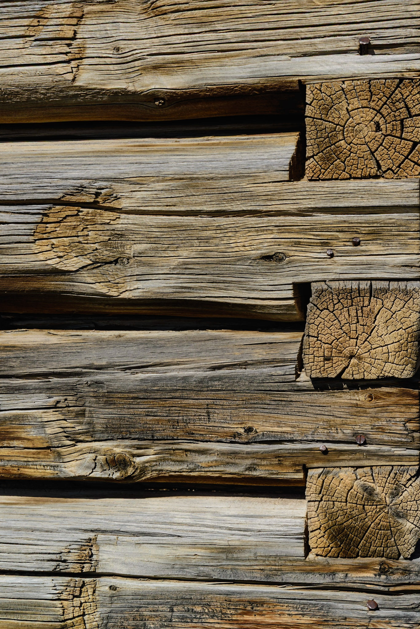 DTGD21210 Old Homestead Cabin, WY