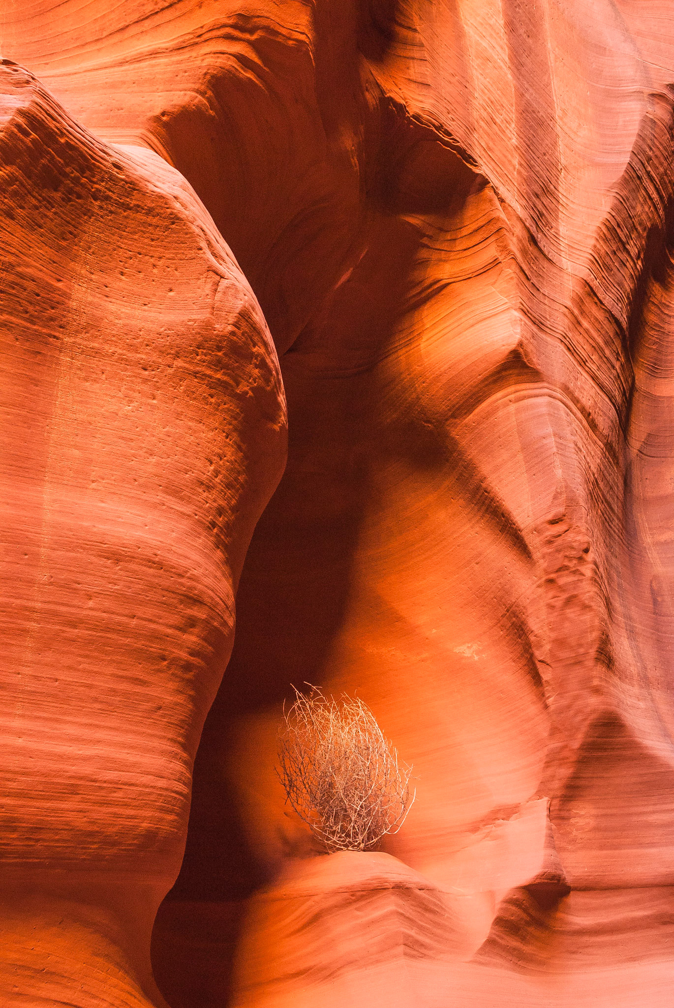 DTGD11562 Canyon X, Page, AZ