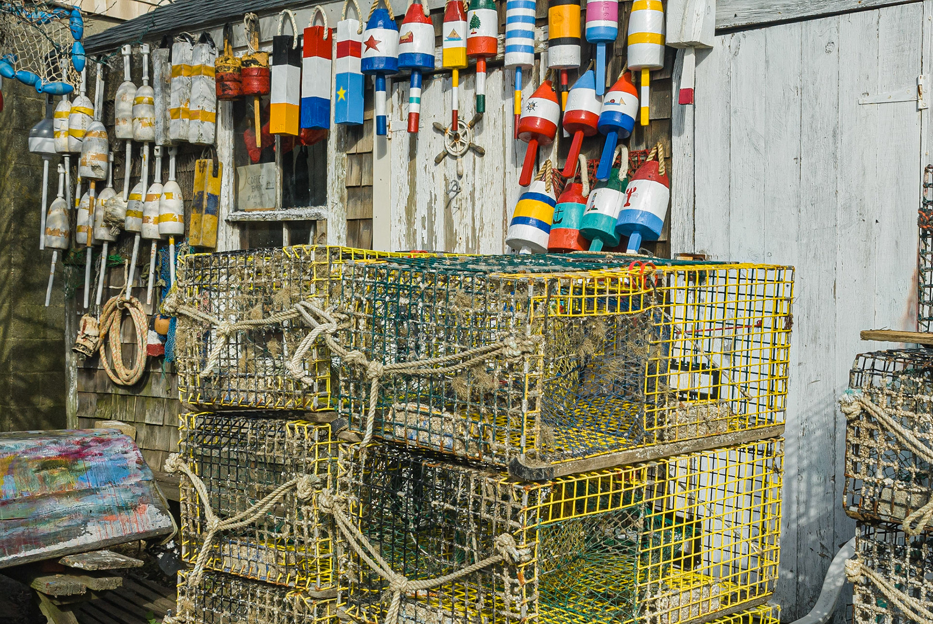 Lobster Buoys