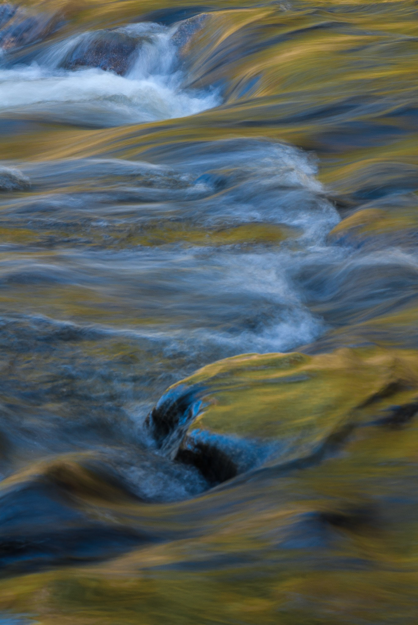 DTGD06366 Morning Reflections on Wildcat River