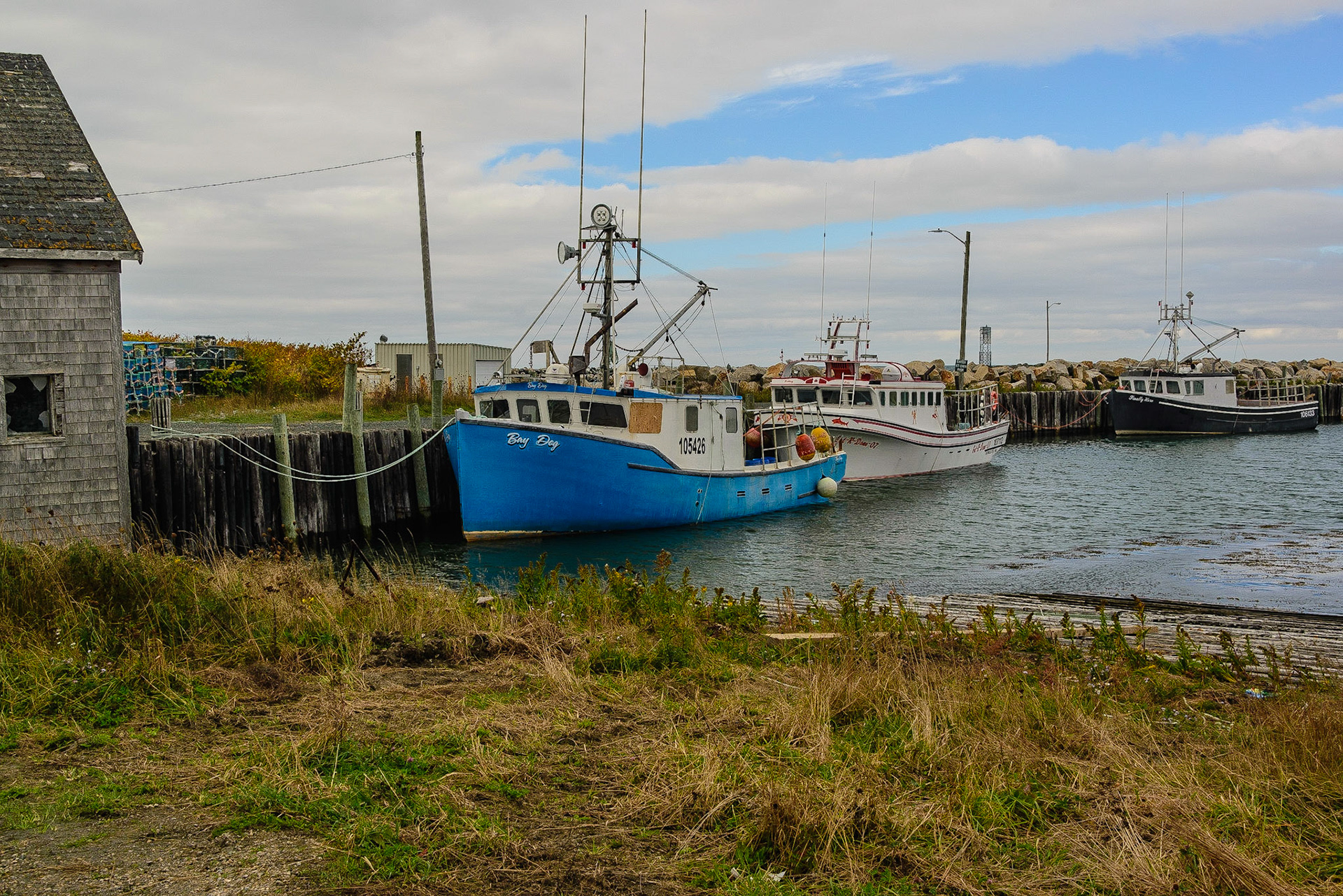 DTGD24758-Lobster boats at Sanford Wharf, NS