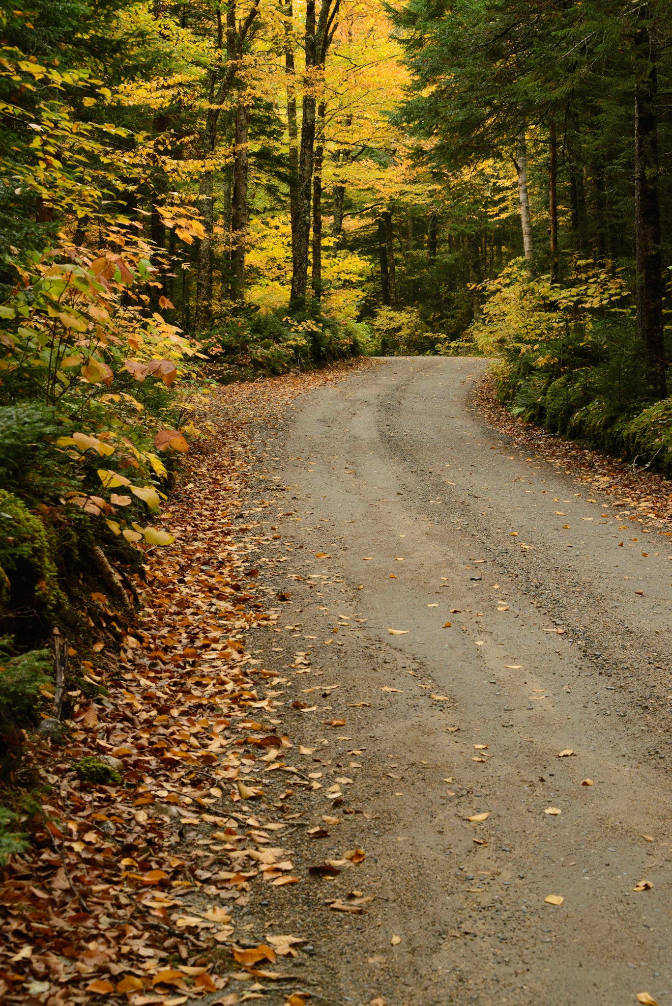 DTGD29695 Jefferson Notch Road